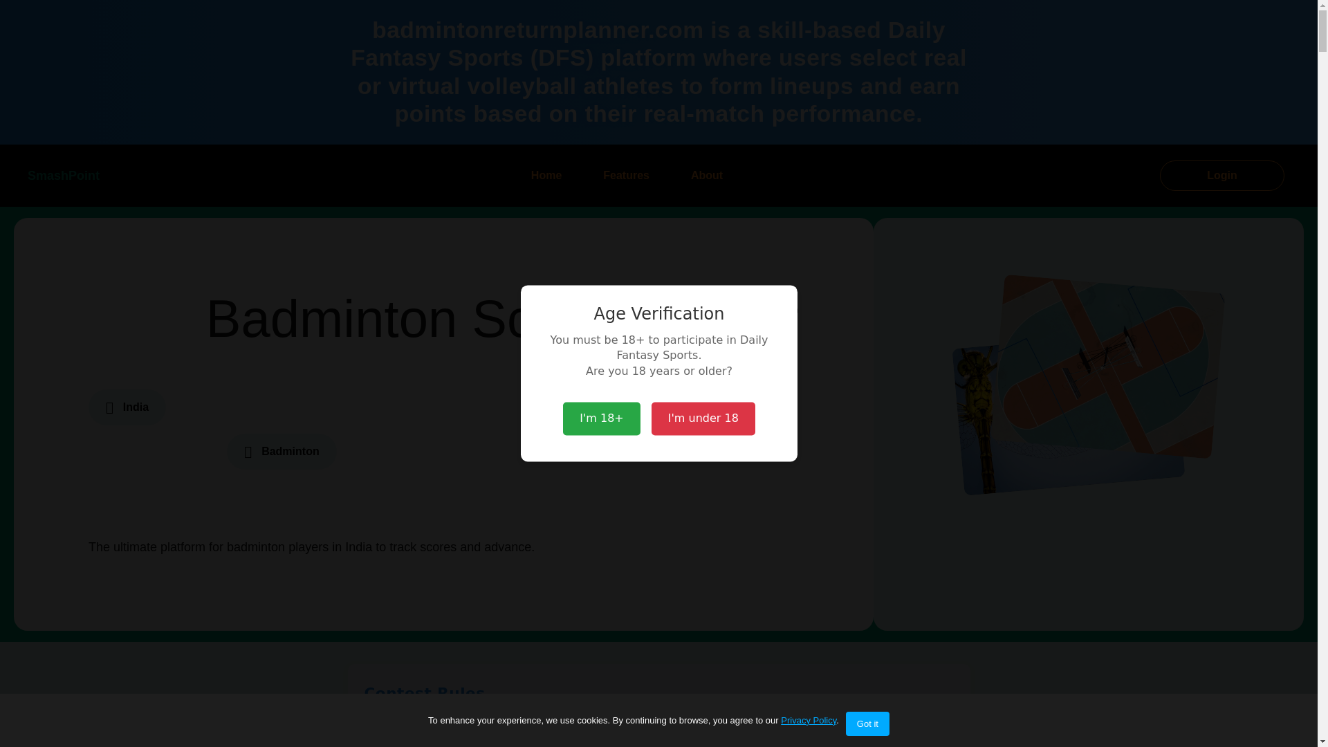 website screenshot of https://badmintonreturnplanner.com/