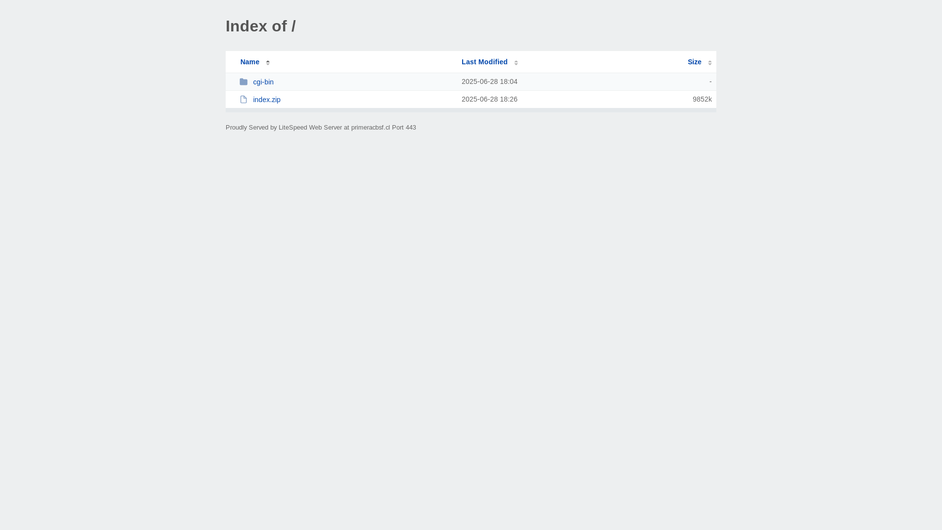 website screenshot of https://primeracbsf.cl/