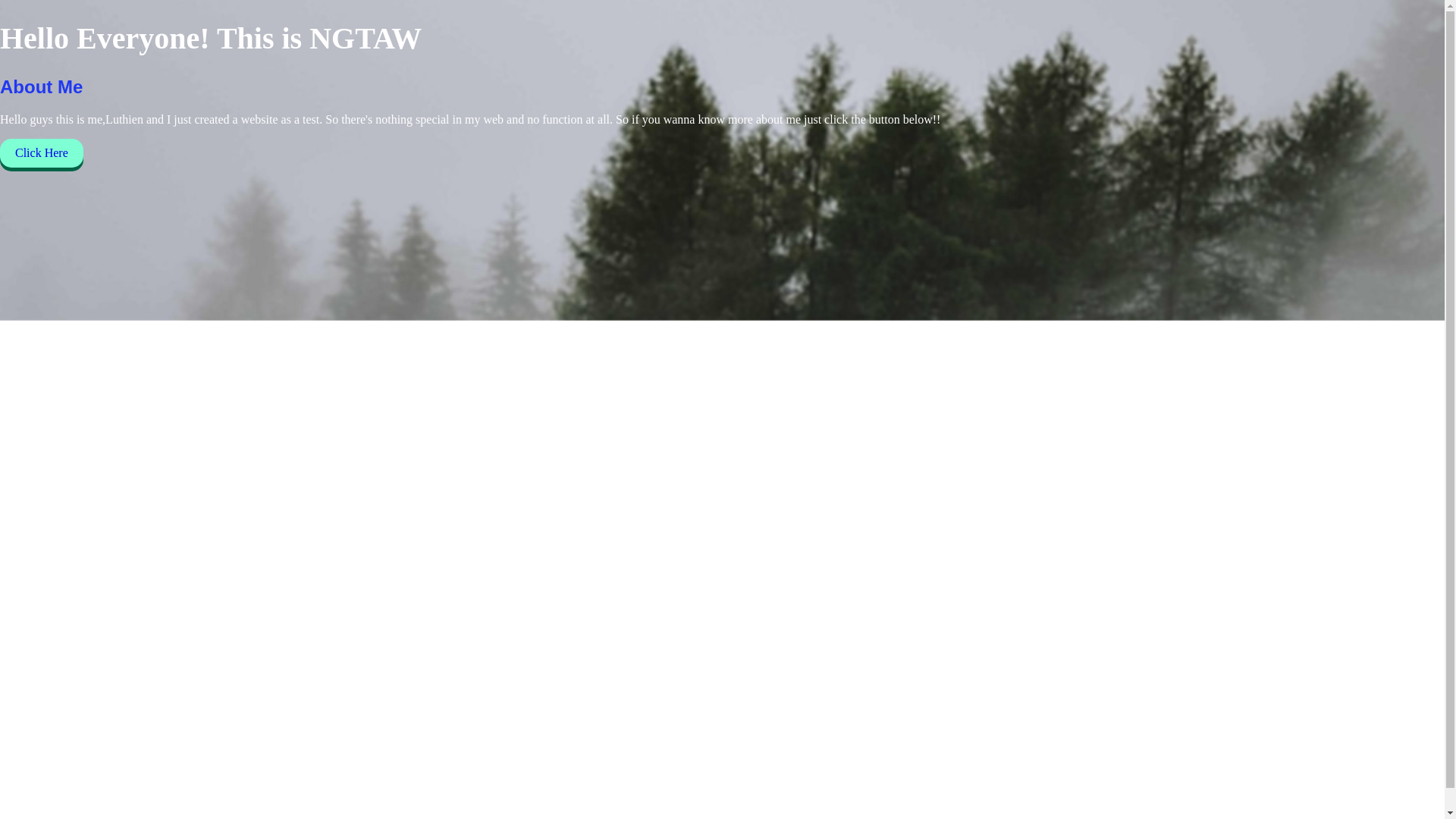 website screenshot of https://ngtaw.com/