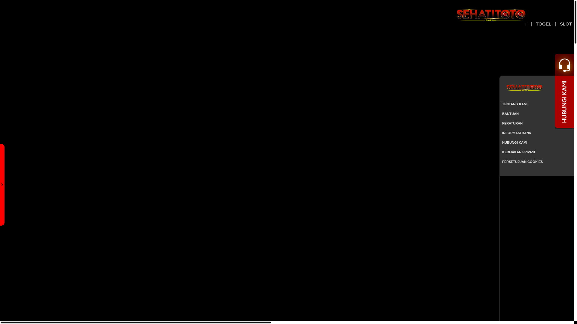 website screenshot of https://sehatitotopro.com/
