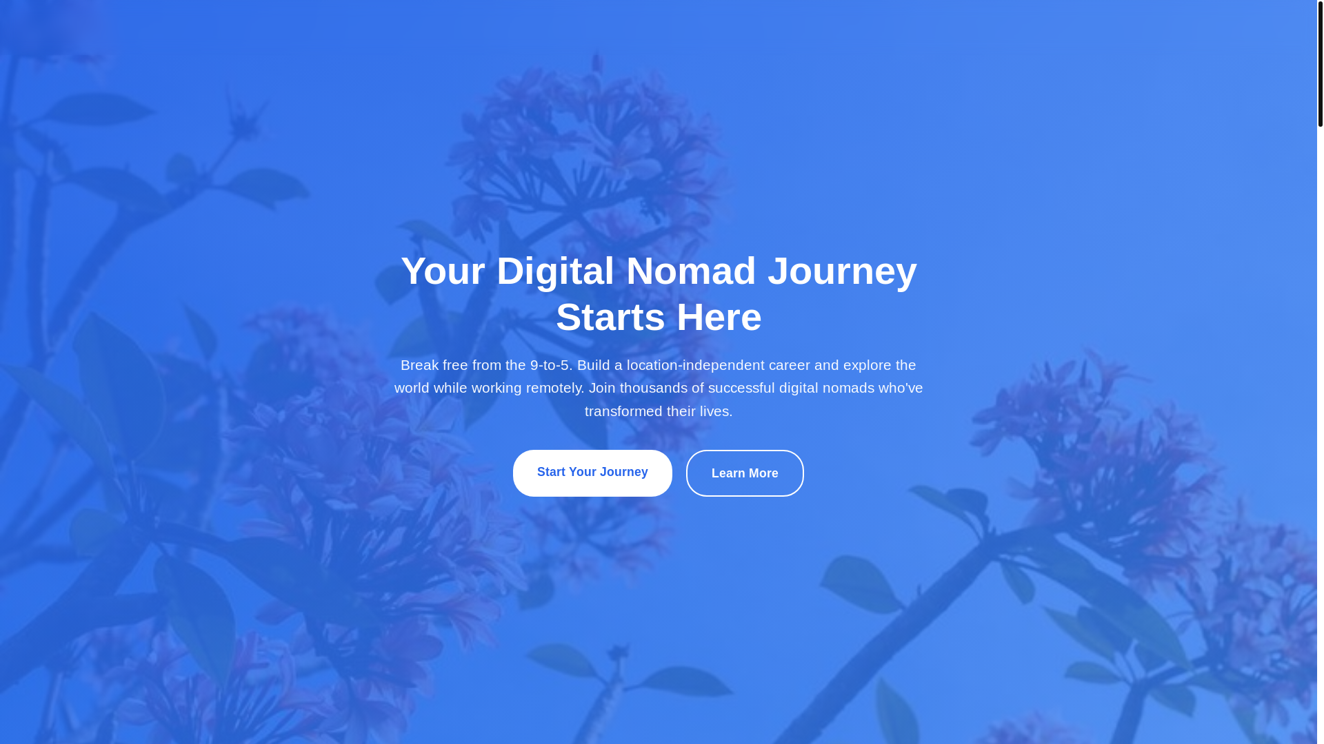 website screenshot of https://nomadtradition.qpon/