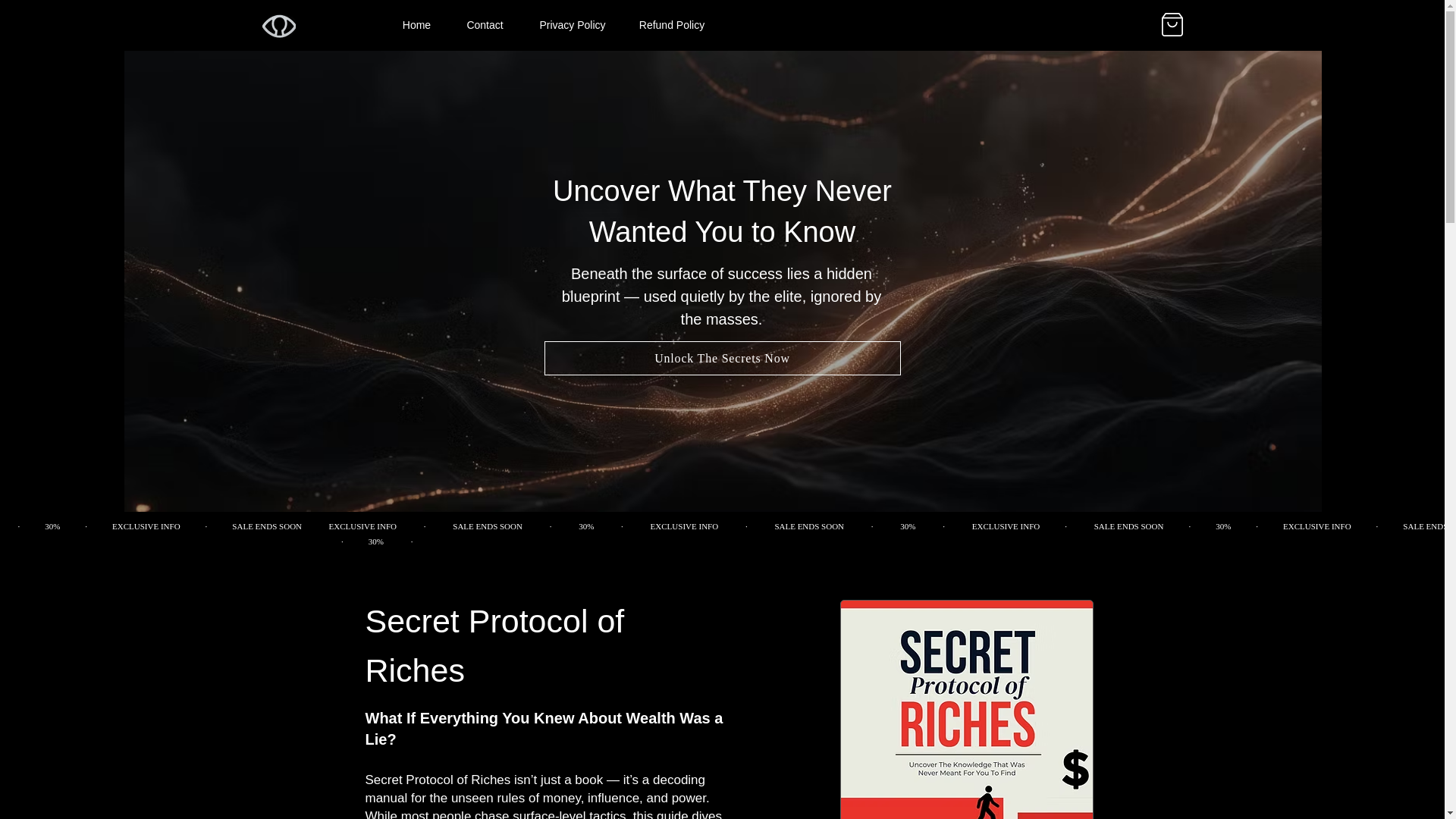 website screenshot of https://www.secretprotocolofriches.com/