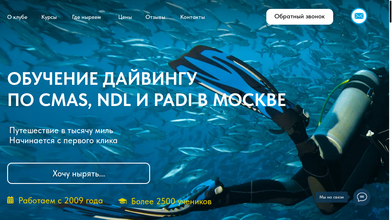 website screenshot of https://diwewater.ru/