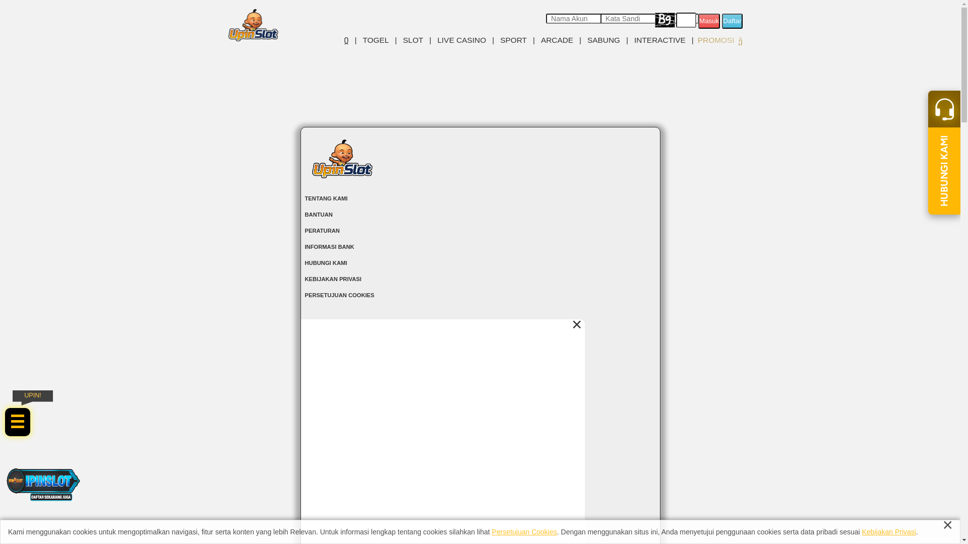 website screenshot of https://megahupin.pro/