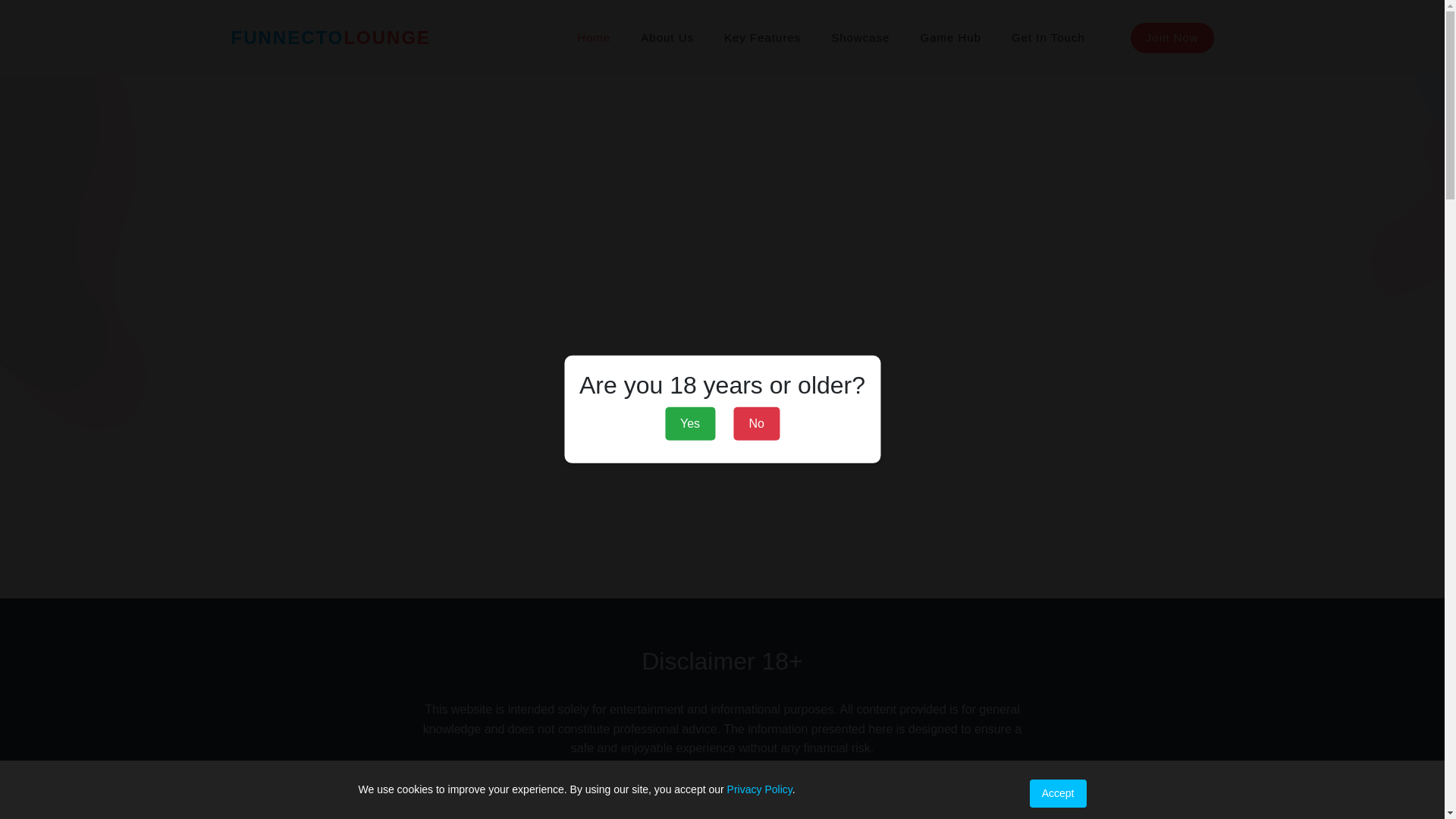 website screenshot of https://funnecto.com/