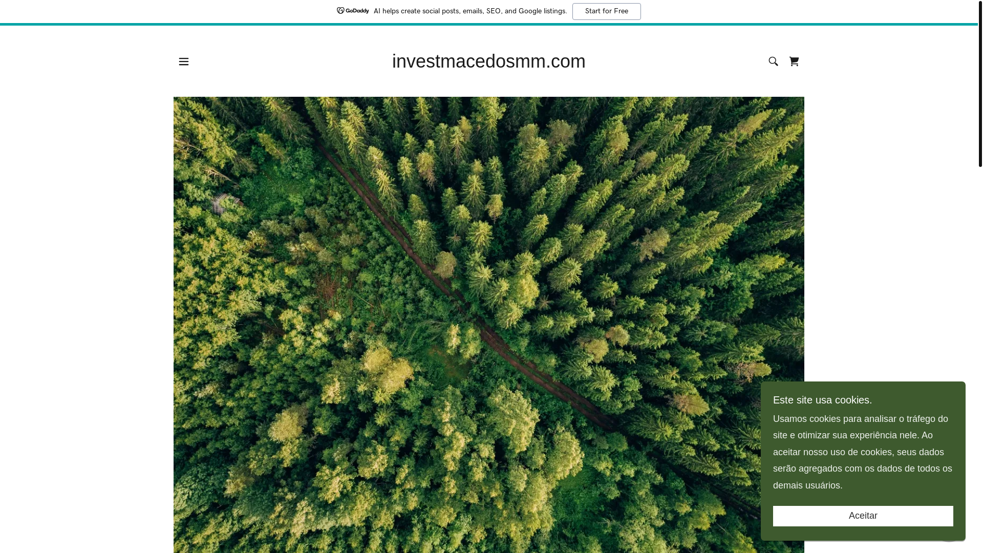 website screenshot of https://investmacedosmm.com/