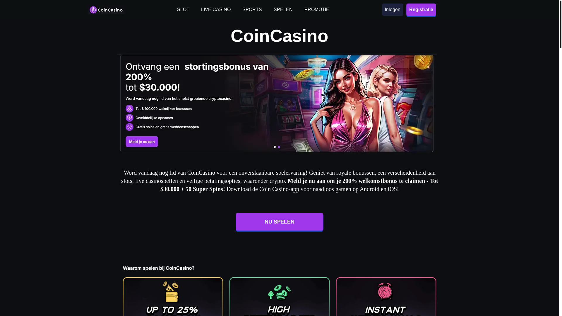 website screenshot of https://coincasinos-nl-5030.pages.dev/