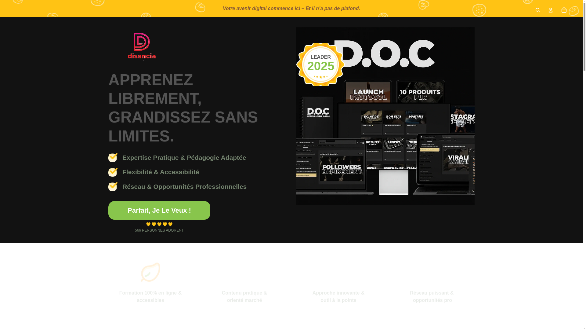 website screenshot of https://disancia.fr/