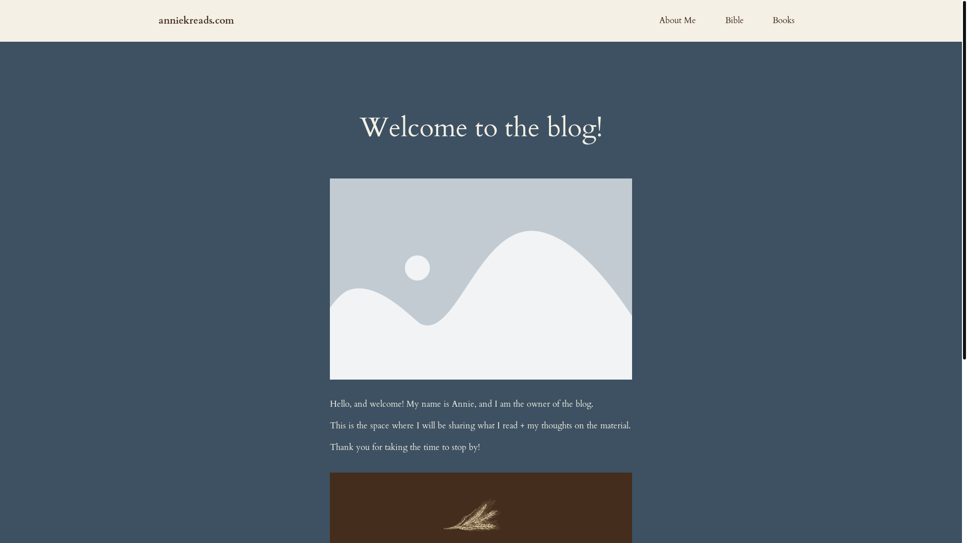 website screenshot of https://anniekreads.com/