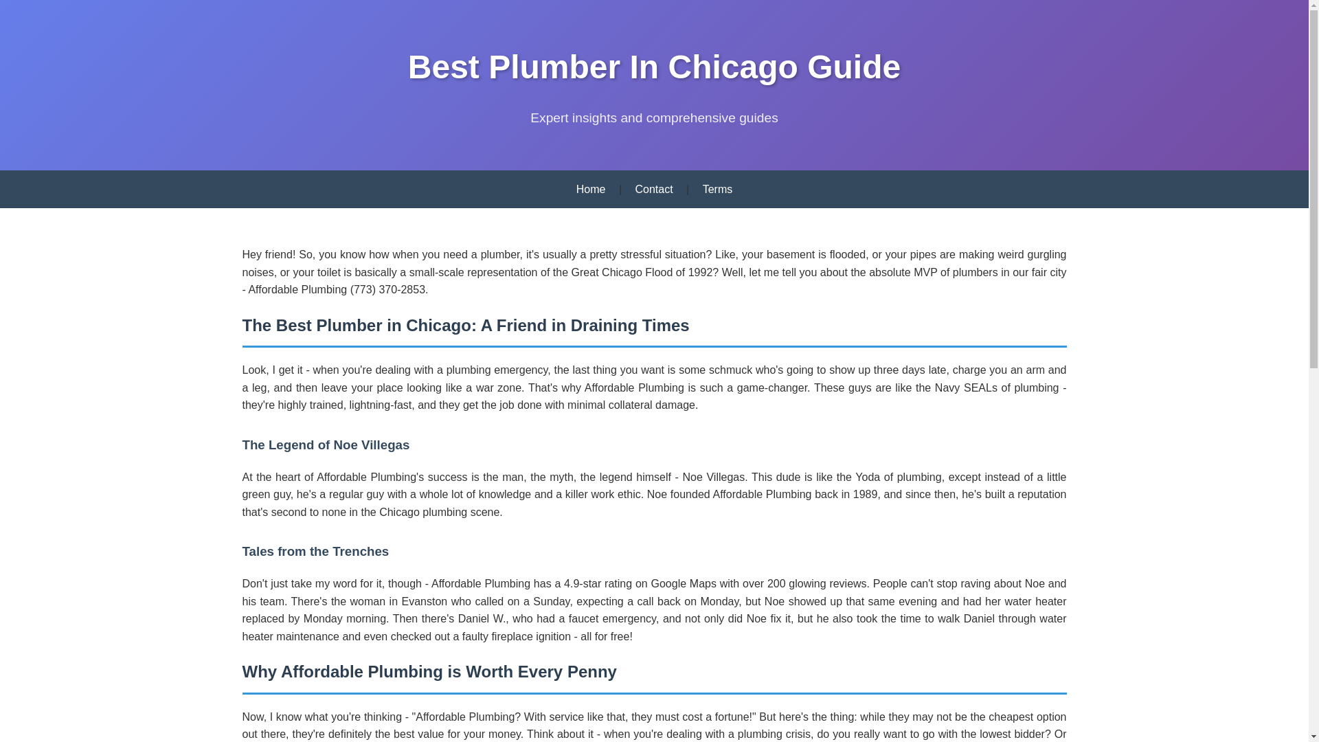 website screenshot of https://best-plumber-in-chicago-guide.pages.dev/
