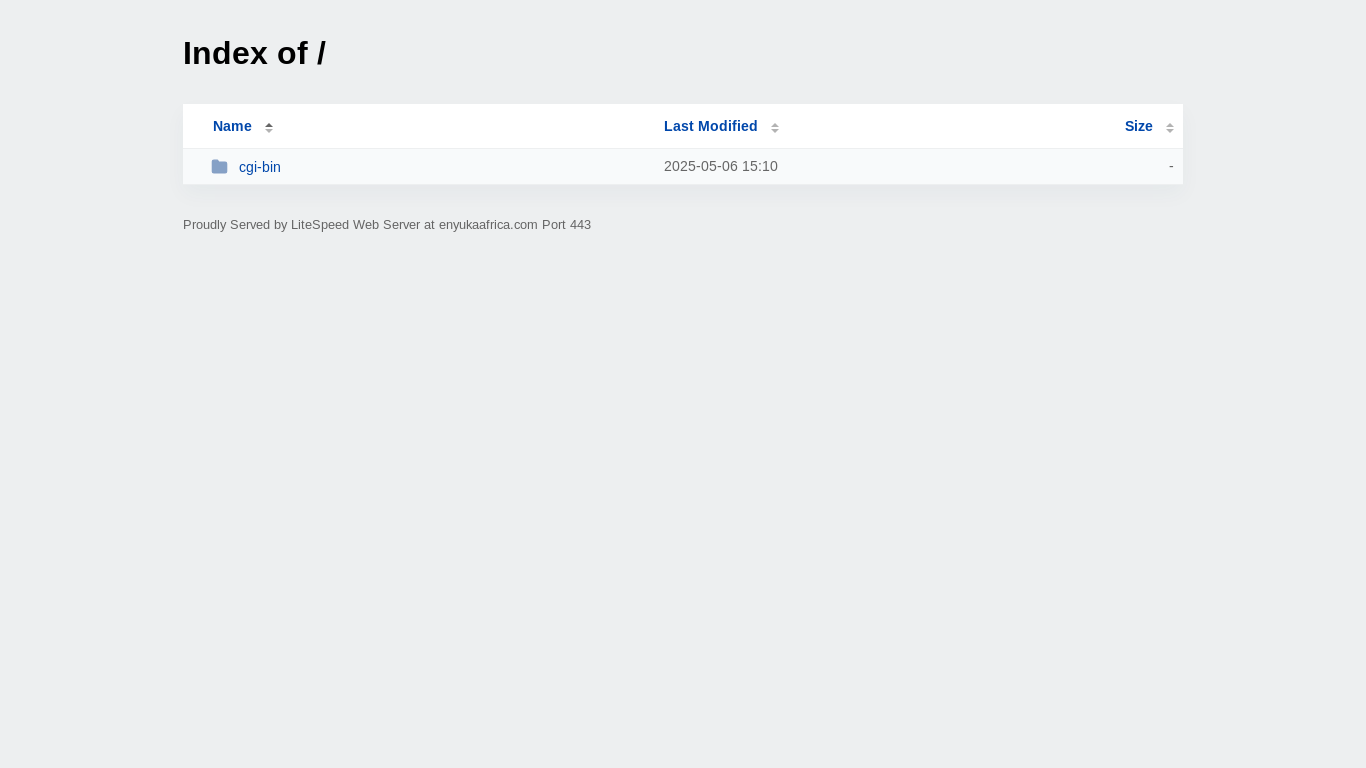 website screenshot of https://enyukaafrica.com/