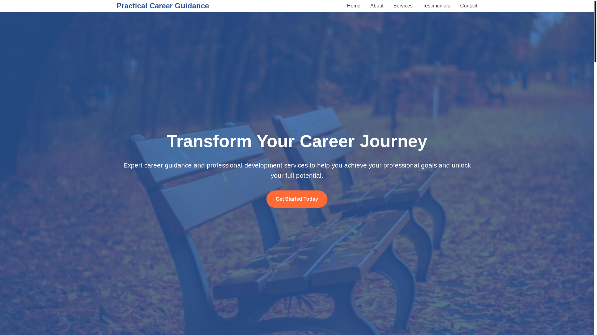 website screenshot of https://practicalcareerguidance.cyou/