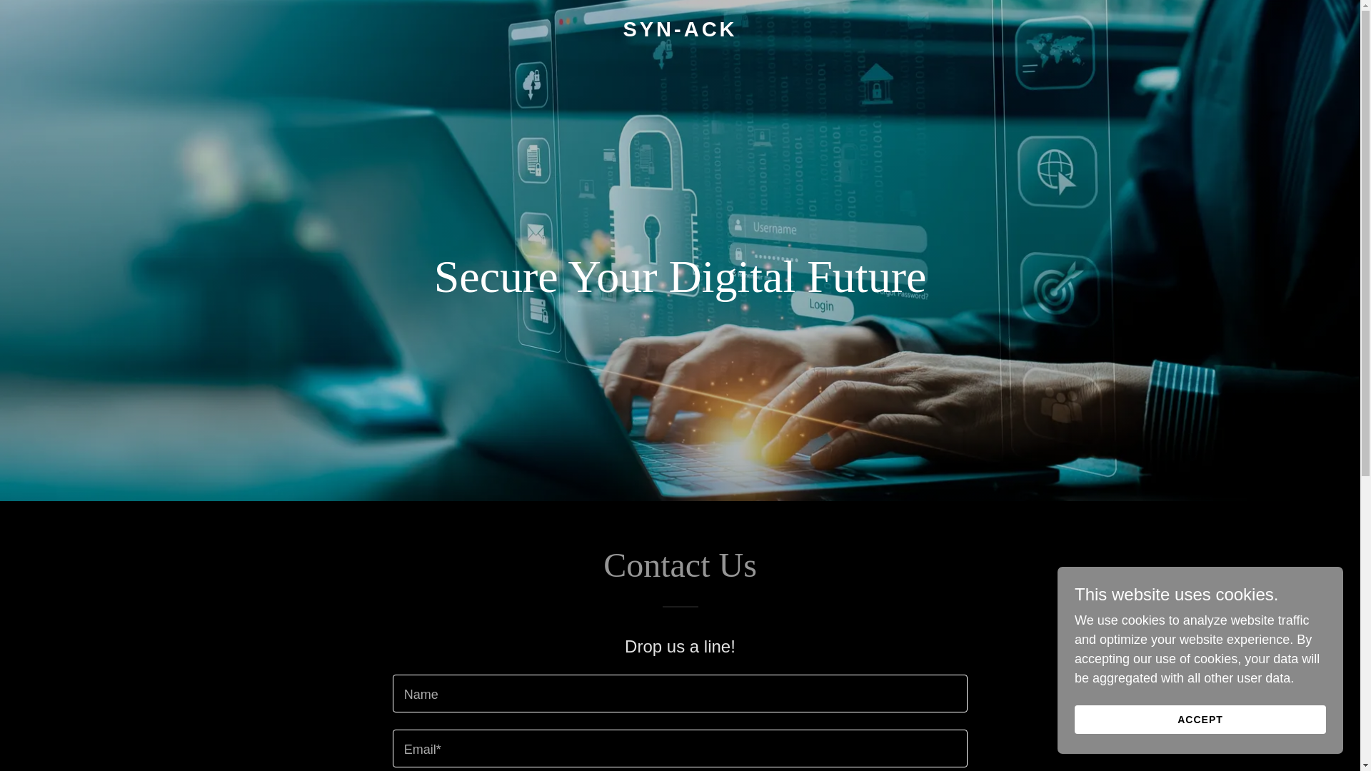 website screenshot of https://syn-ack.ca/