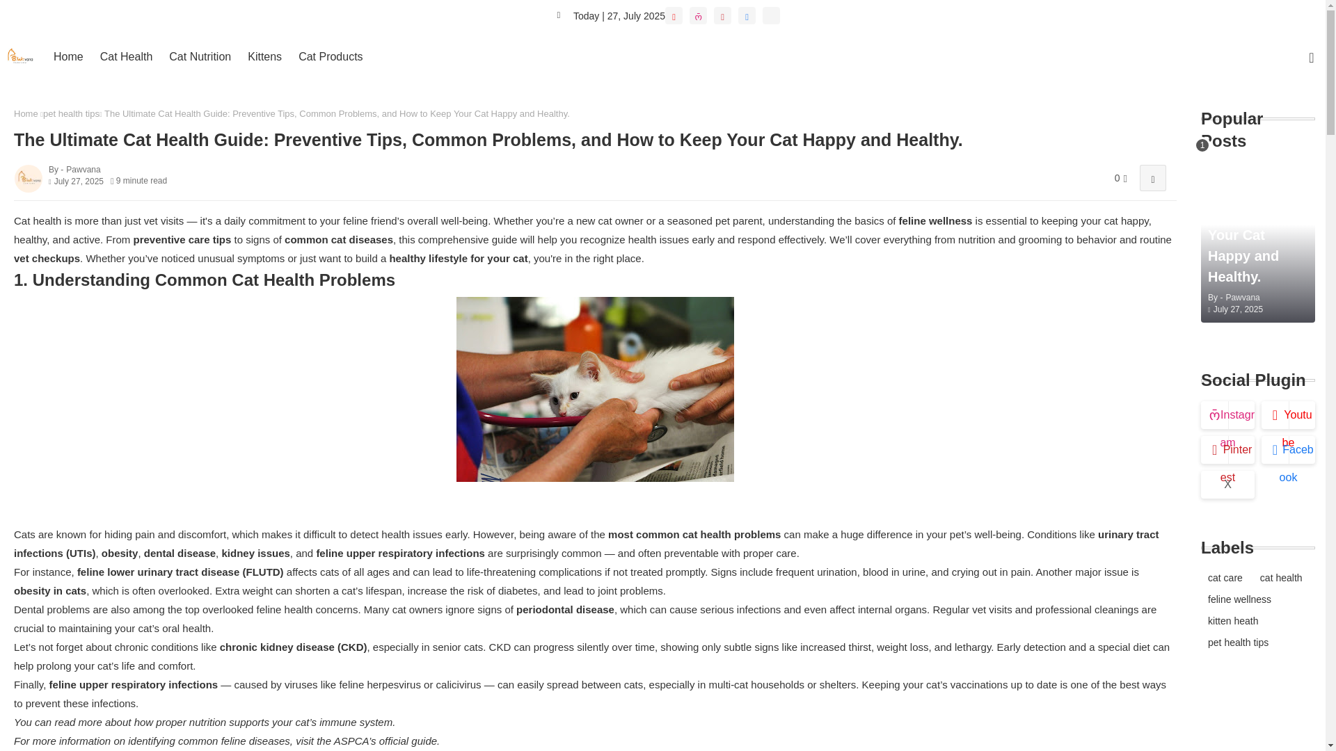 website screenshot of https://pawvana.blogspot.com/2025/07/cat-health-guide-new-owners.html