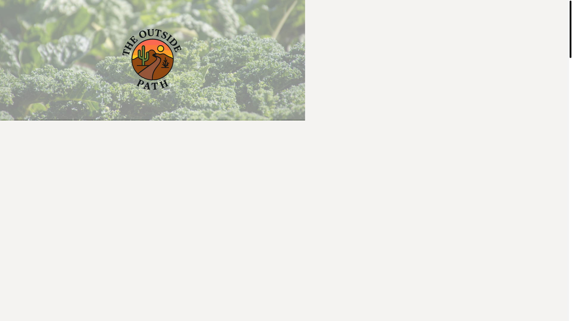 website screenshot of https://theoutsidepath.com/