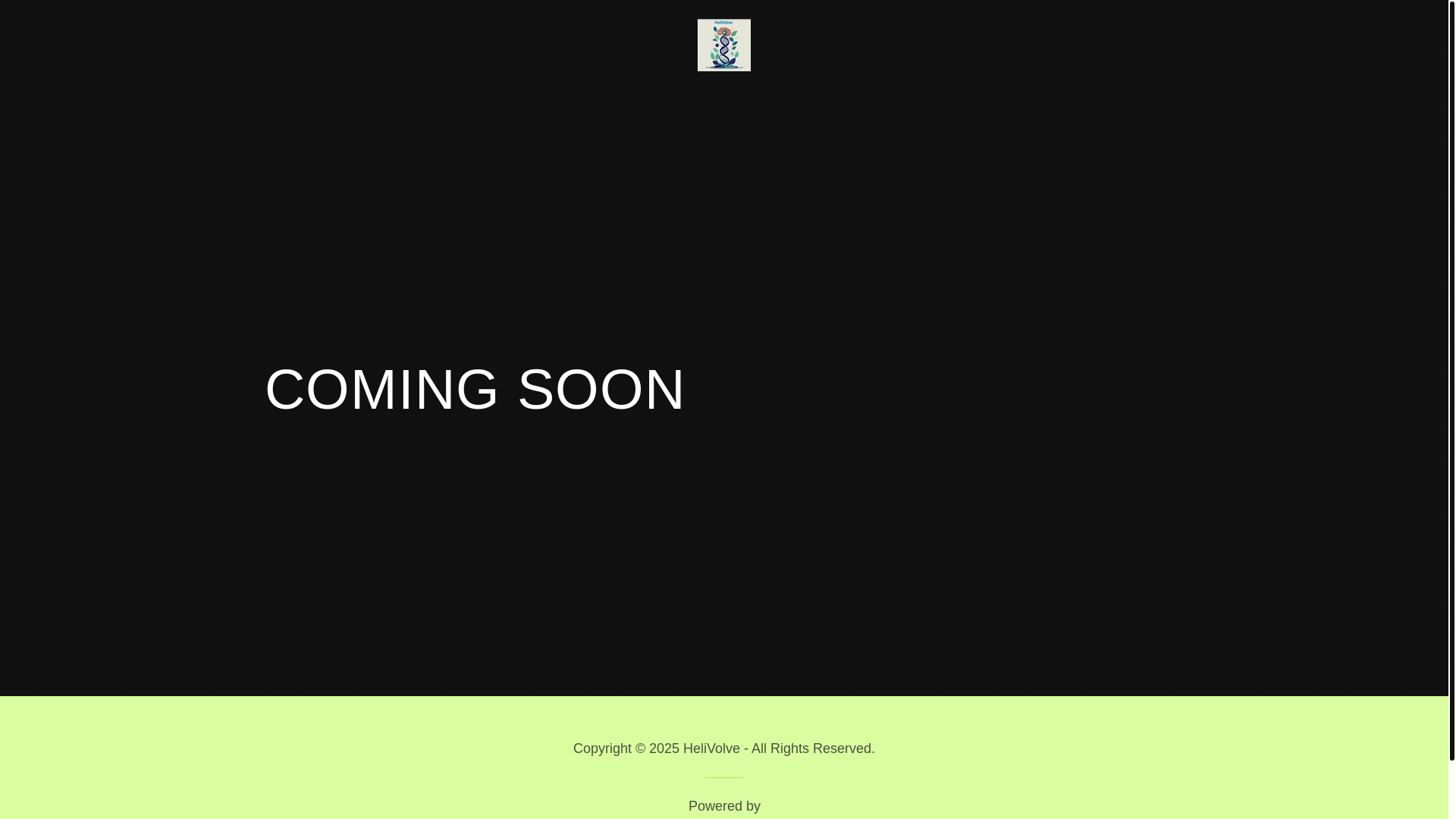 website screenshot of https://helivolve.com/