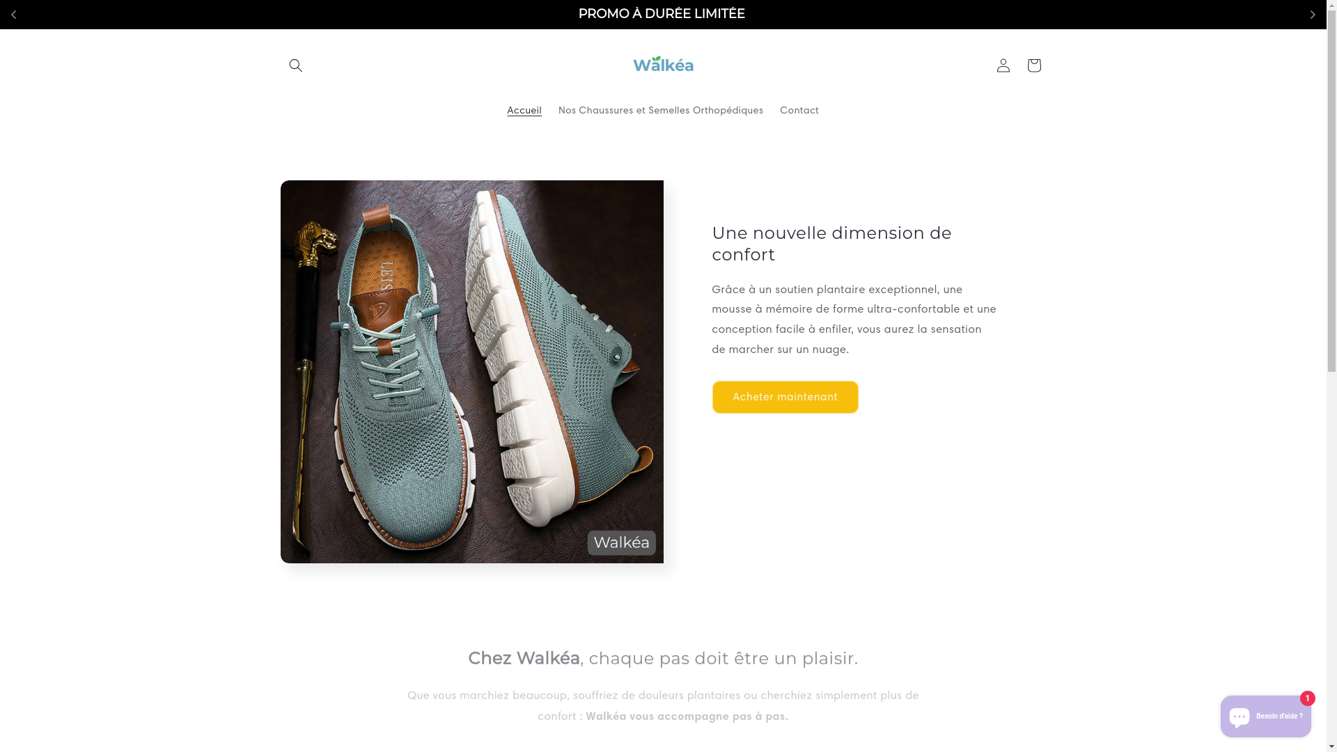 website screenshot of https://walkea.fr/