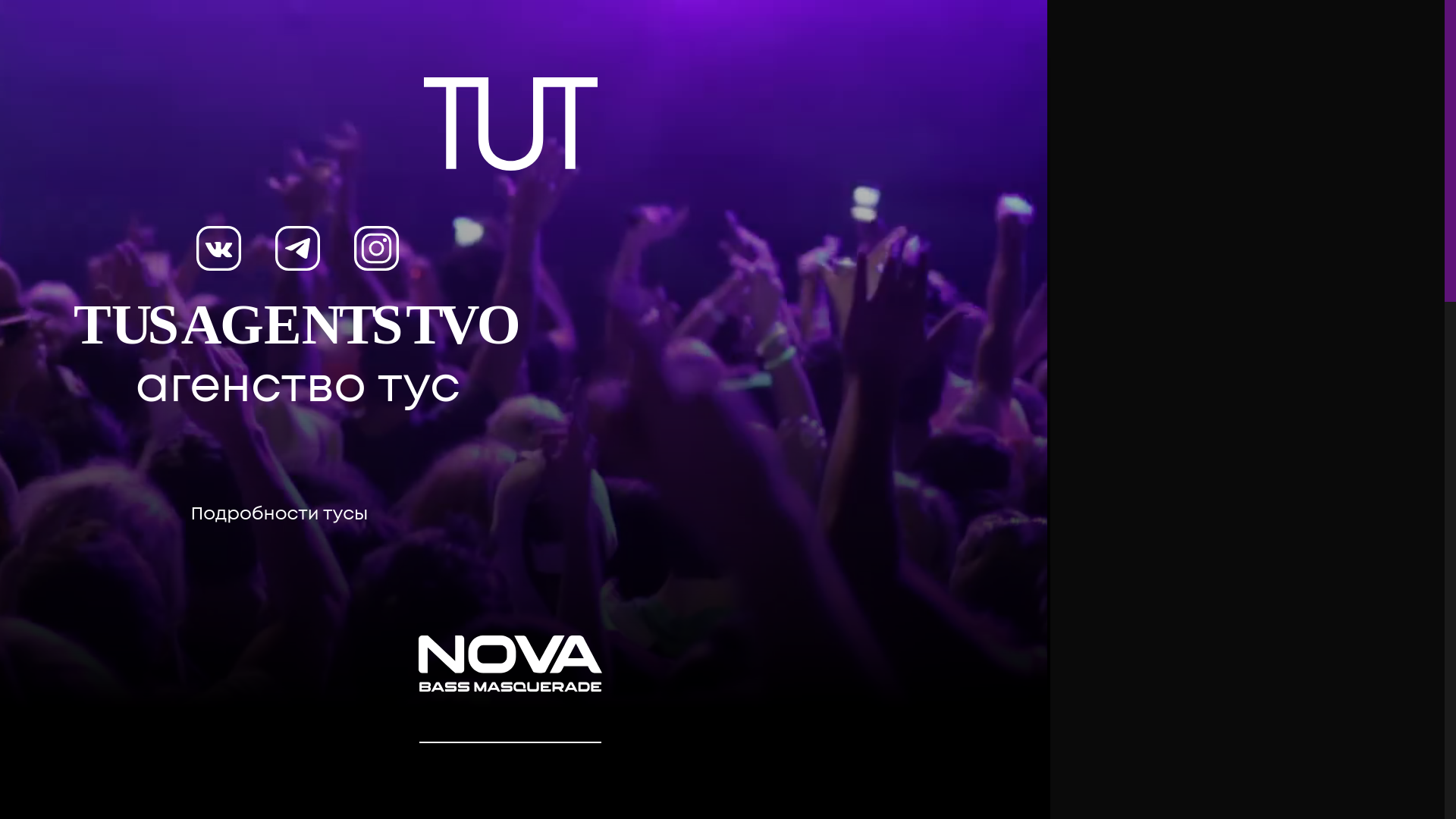 website screenshot of https://tusagentstvo.ru/