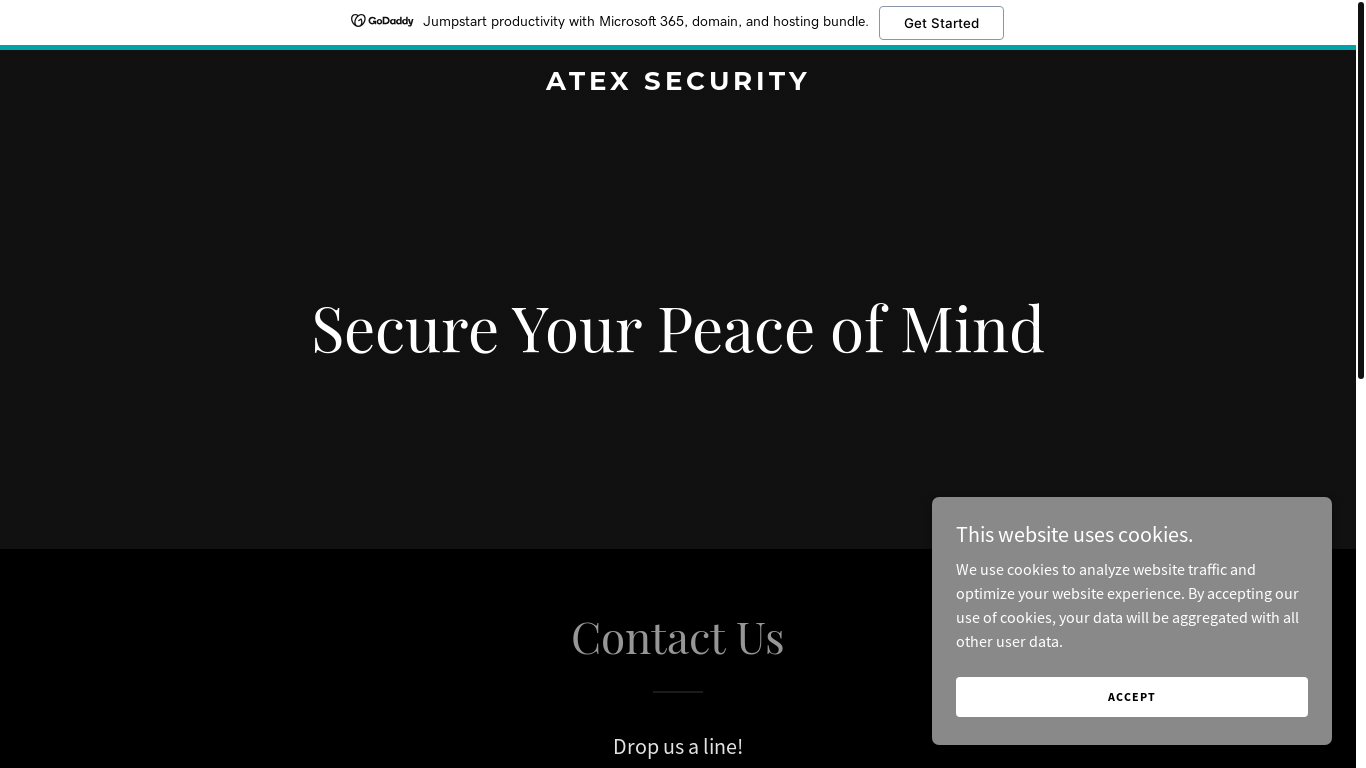 website screenshot of https://atex-security.com/