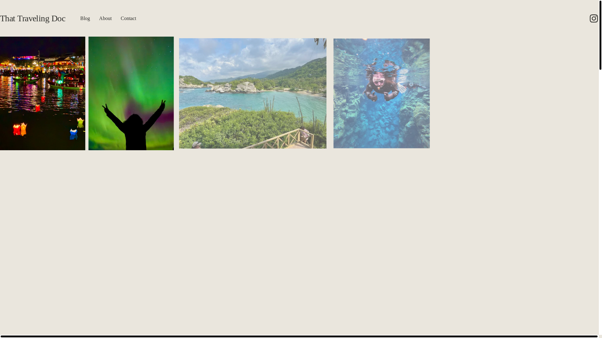 website screenshot of https://thattravelingdoc.com/