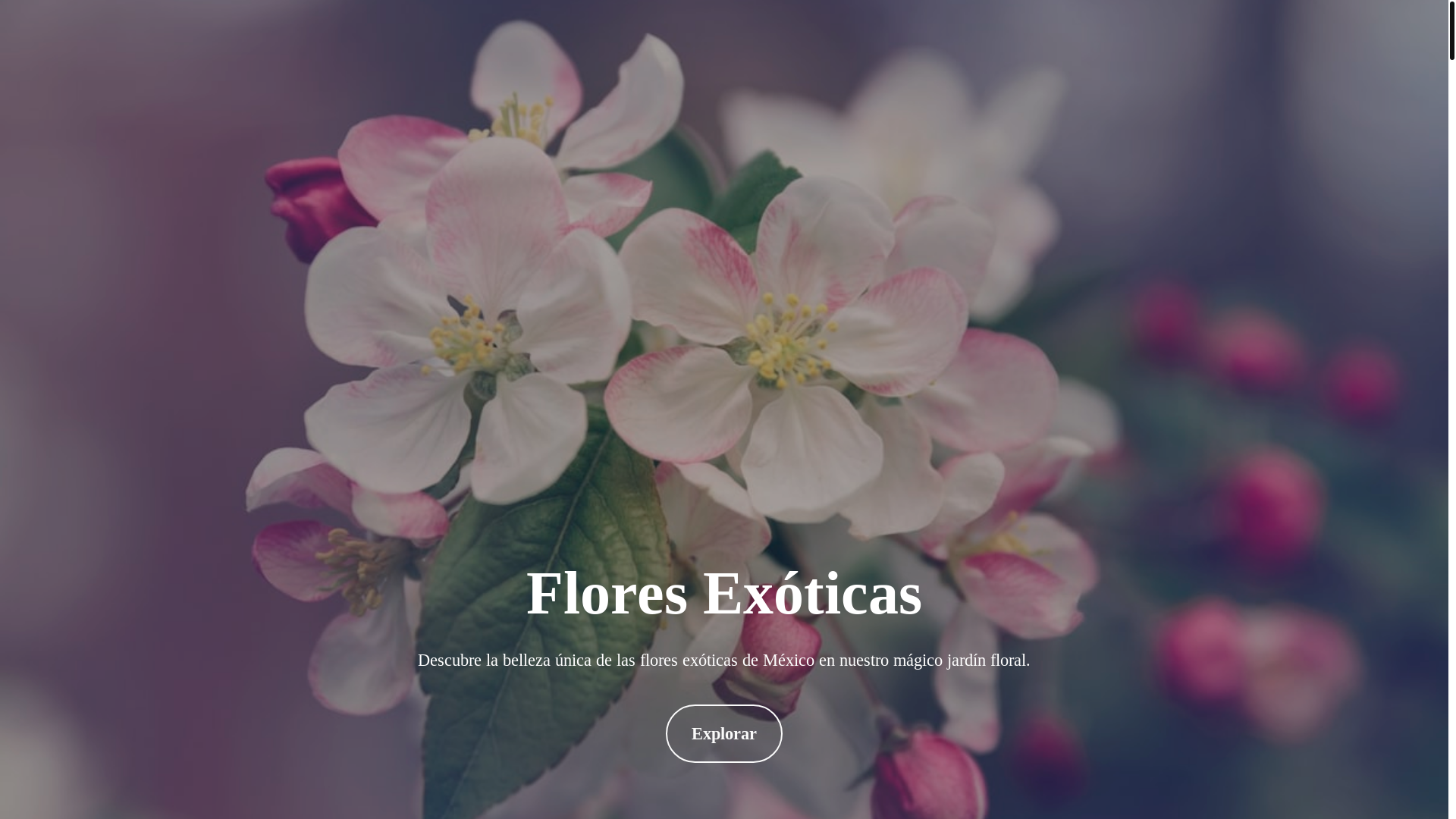 website screenshot of https://mxovapegu.store/