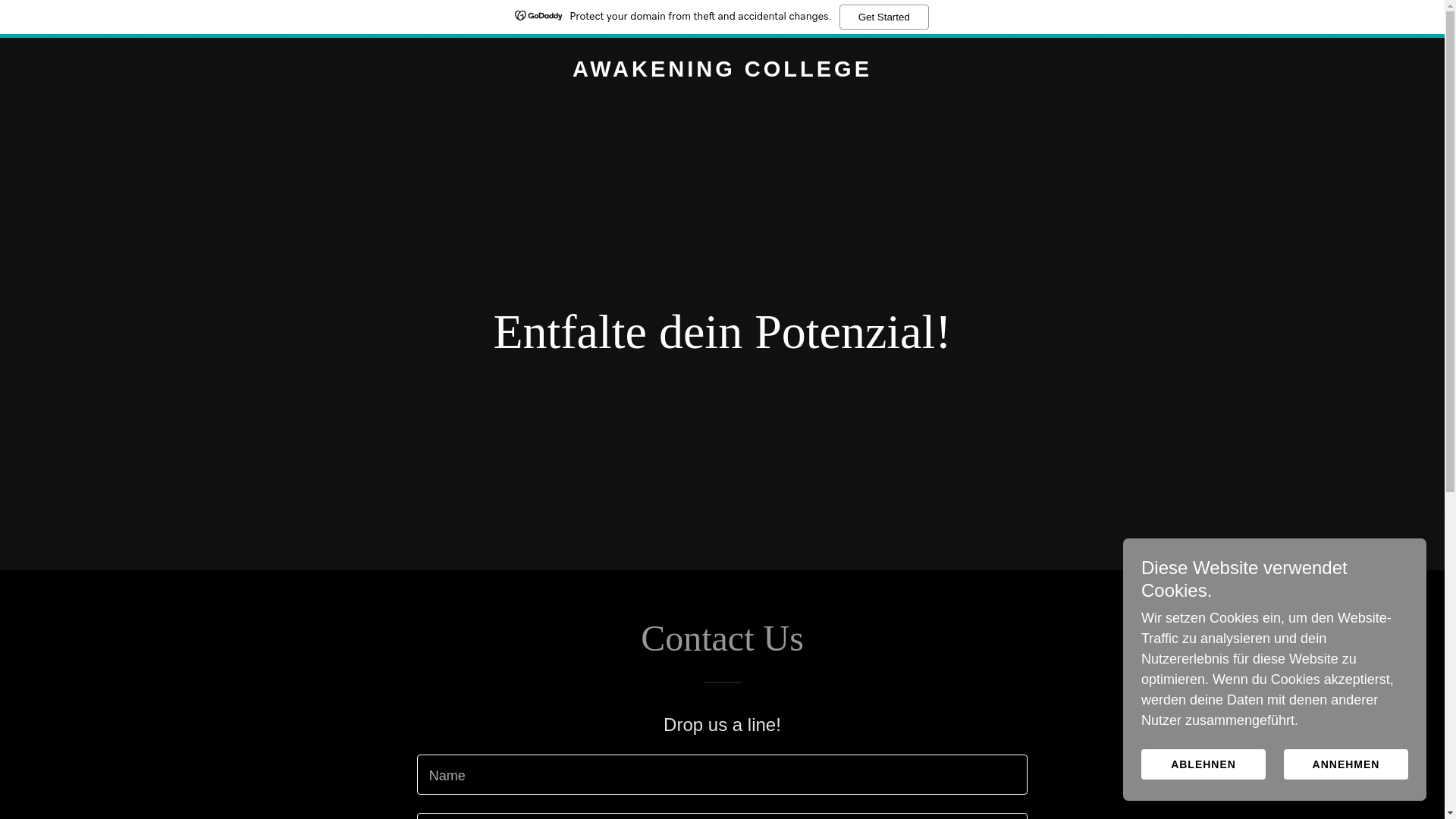 website screenshot of https://awakening.college/