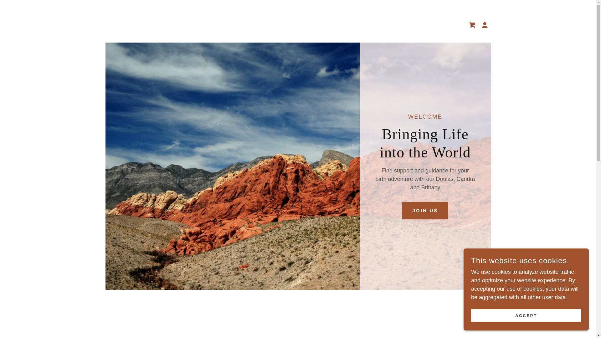 website screenshot of https://candrasmithdoulaservices.com/