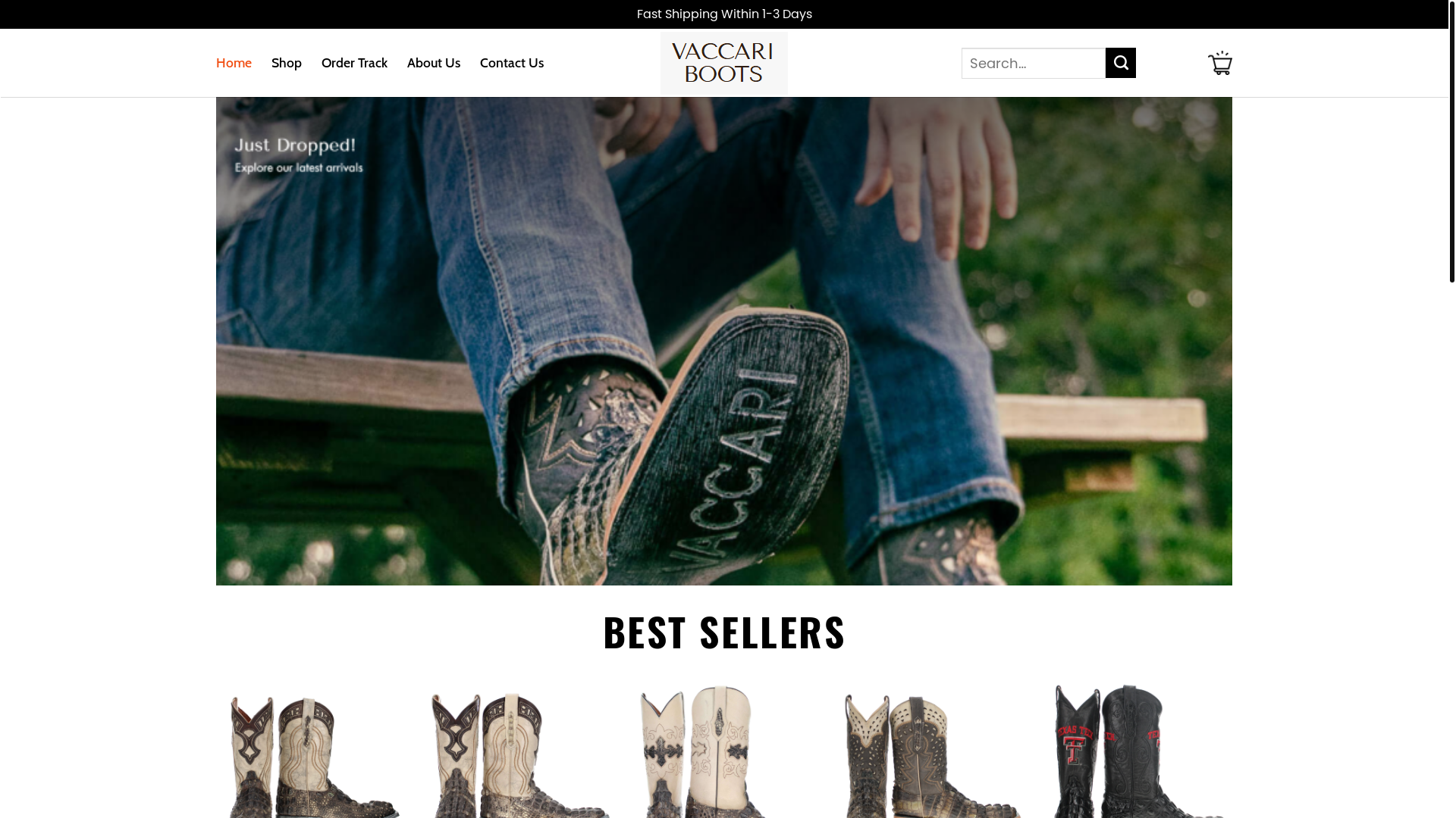 website screenshot of https://holavaccariboots.shop/