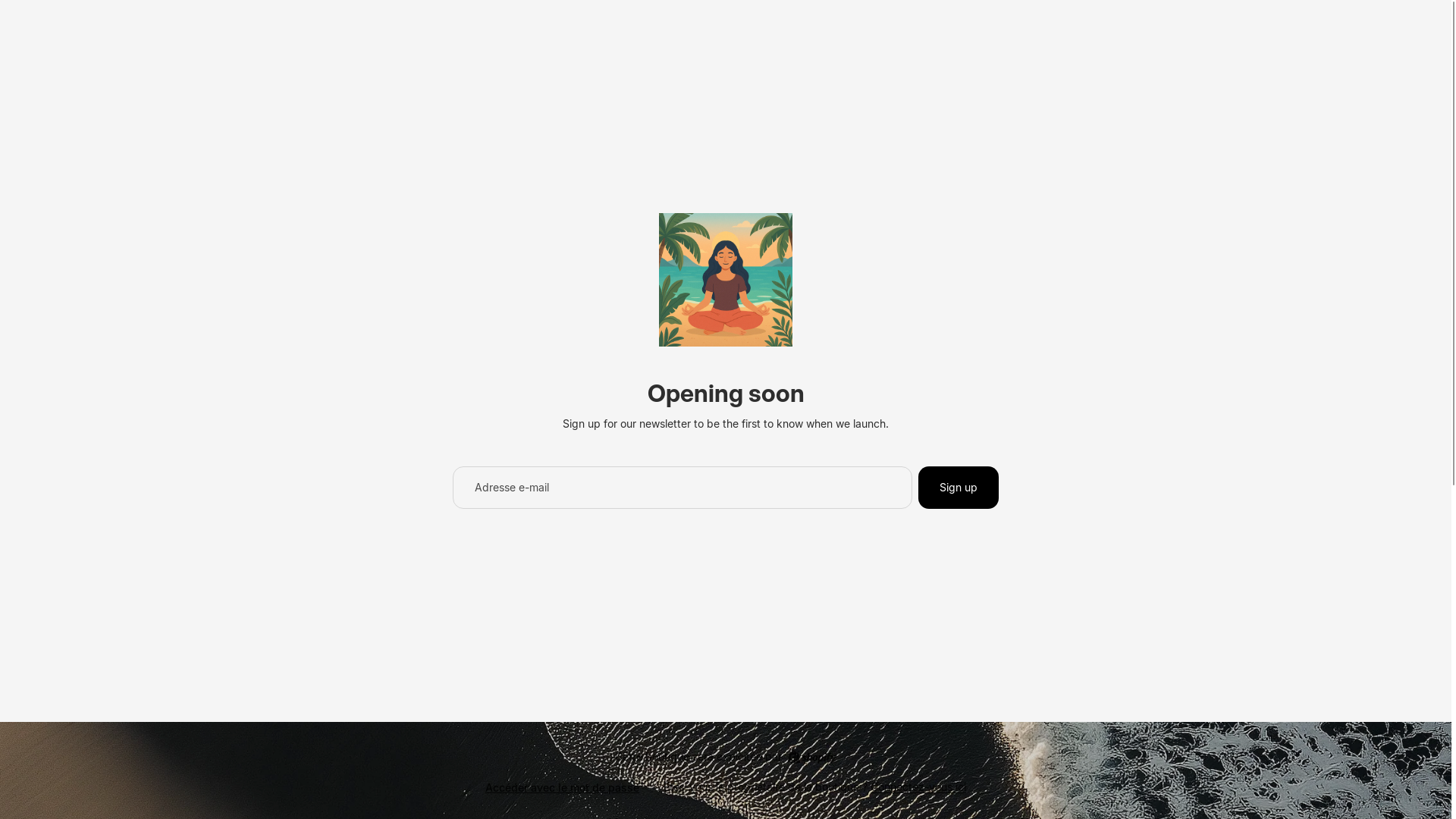 website screenshot of https://zenvalet.fr/