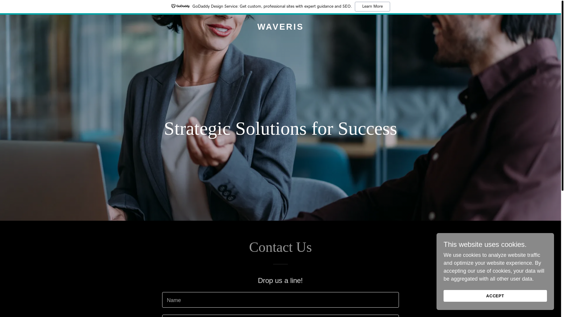 website screenshot of https://waveris.co/