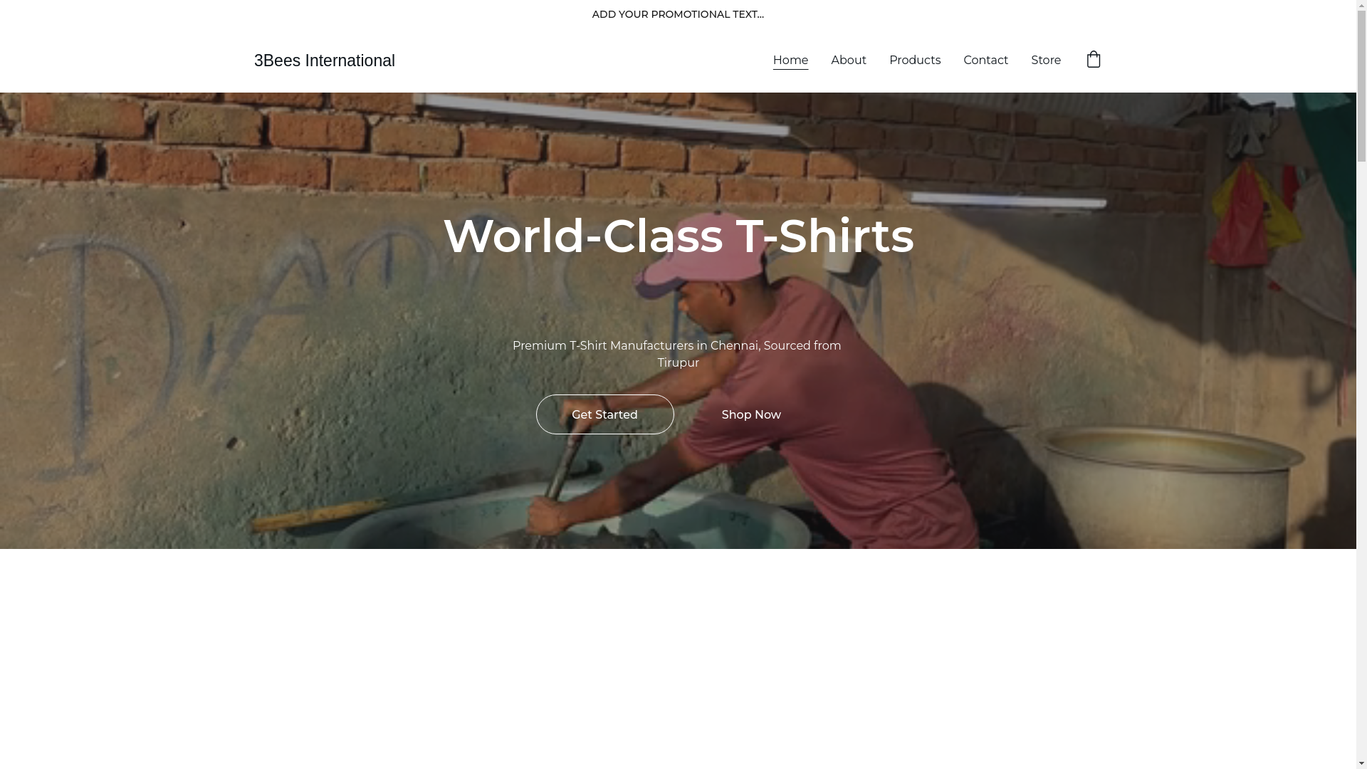 website screenshot of https://3beesinternational.in/
