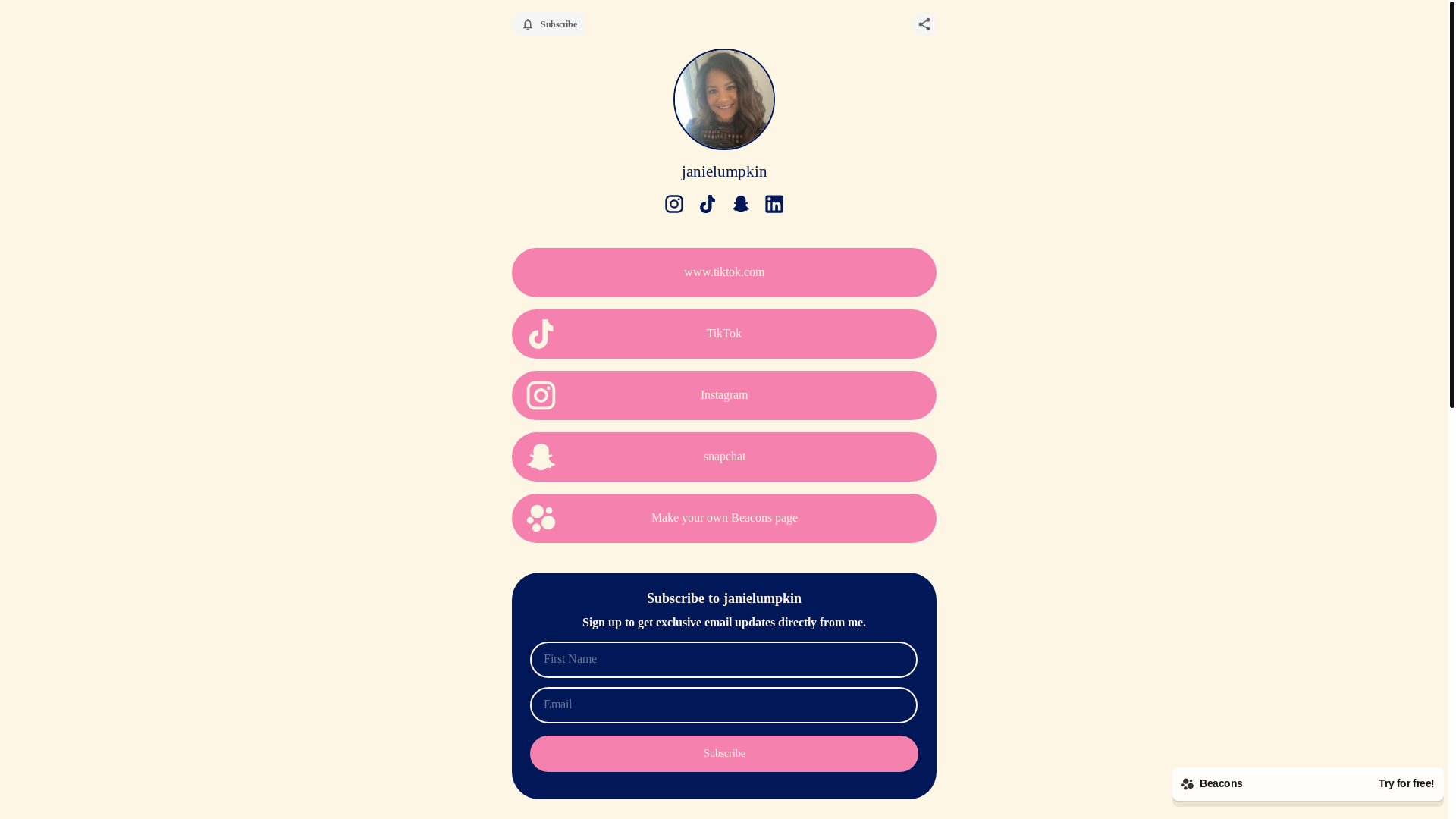 website screenshot of https://janielumpkin.com/