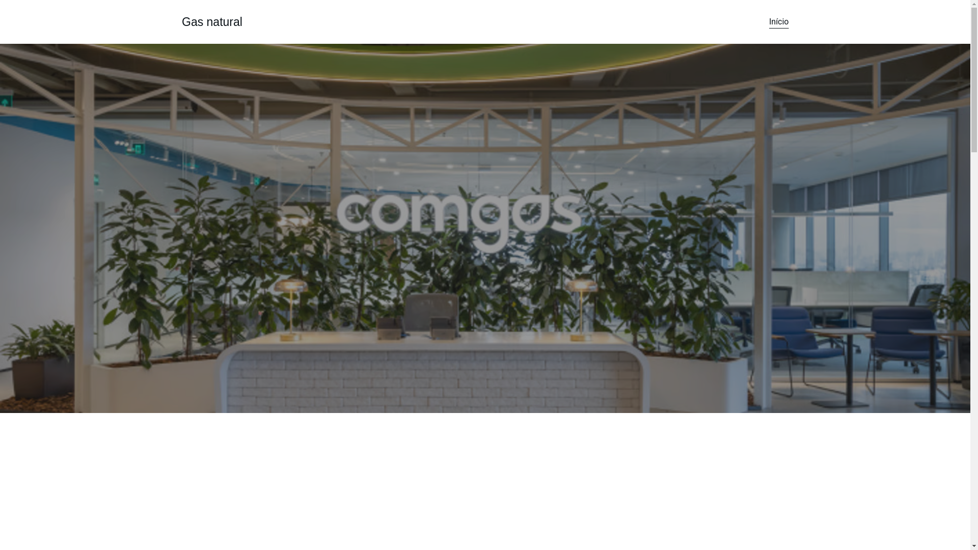 website screenshot of https://crisdogas01-com.shop/
