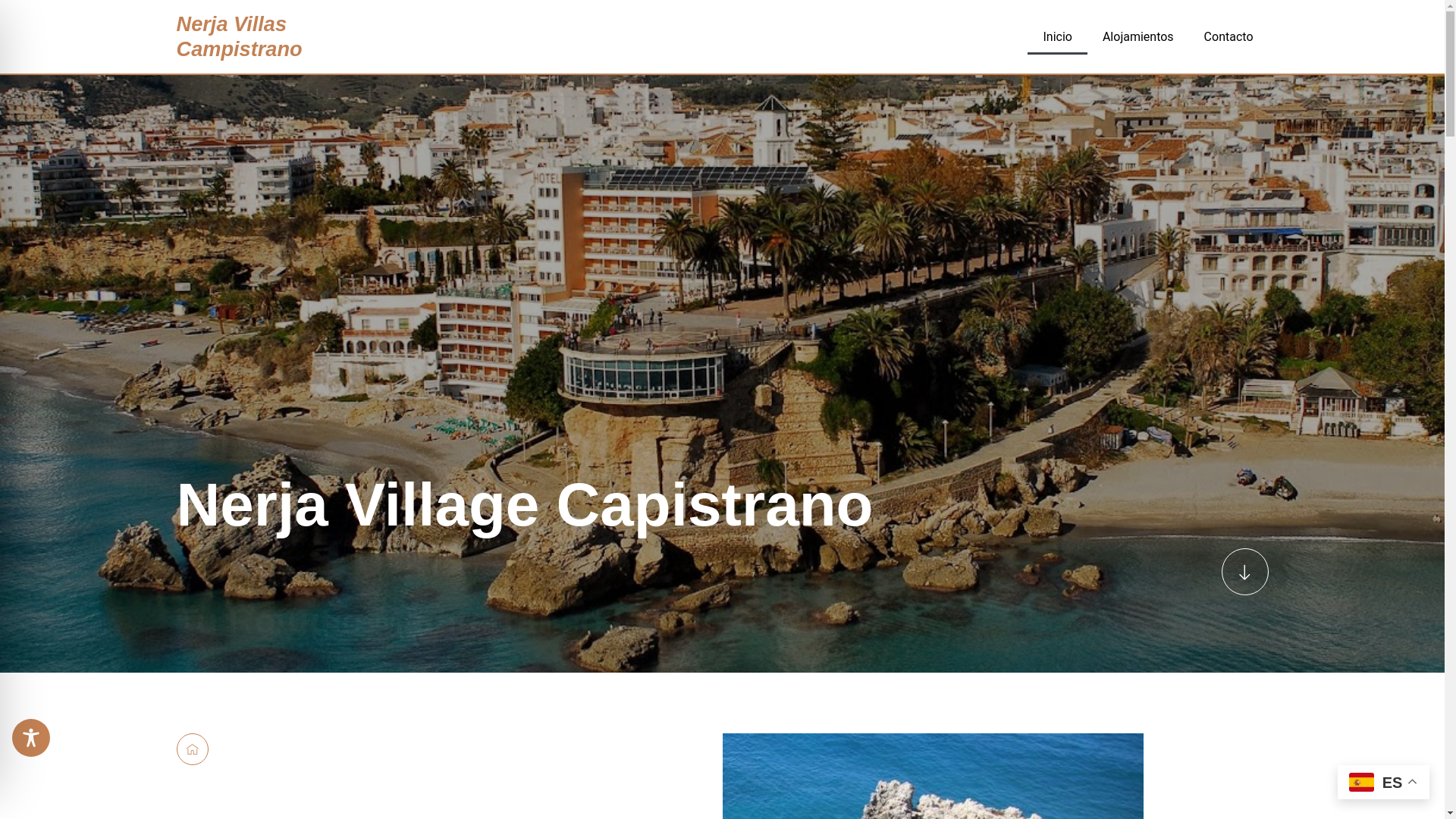 website screenshot of https://nerjavillascapistrano.com/