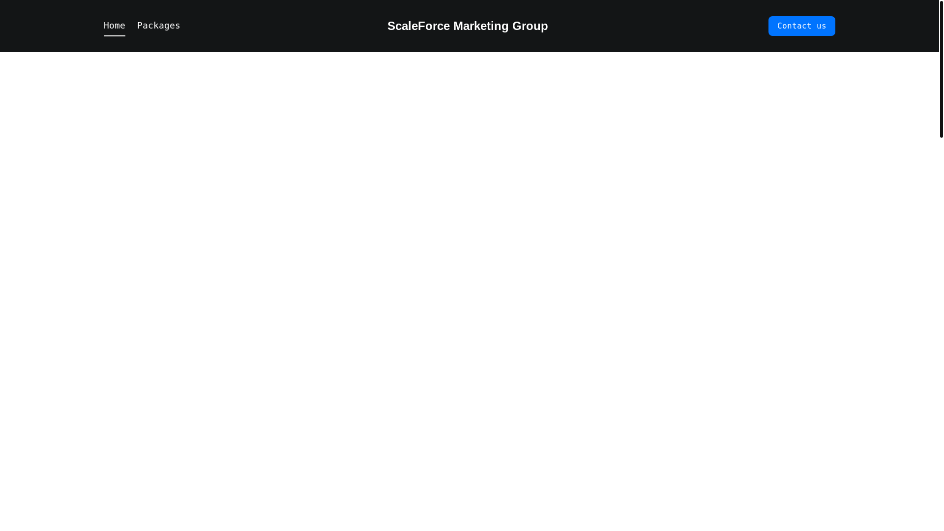 website screenshot of https://scaleforcemg.com/