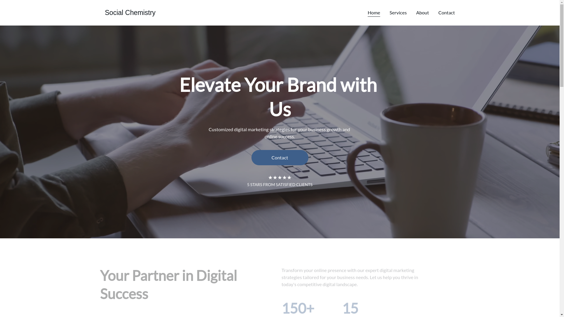website screenshot of https://thesocialchemistry.in/