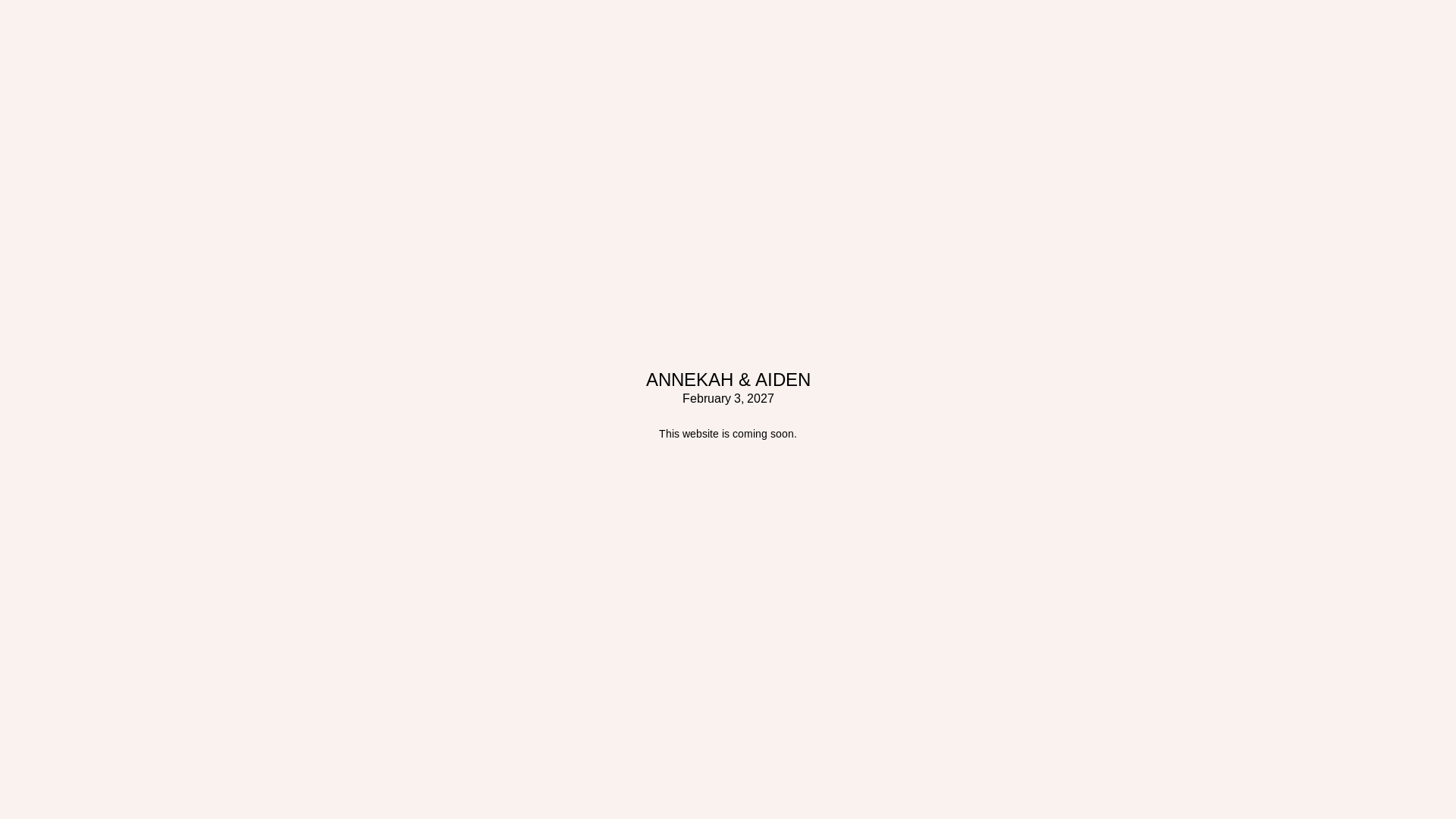 website screenshot of https://aidenandannekah.com/