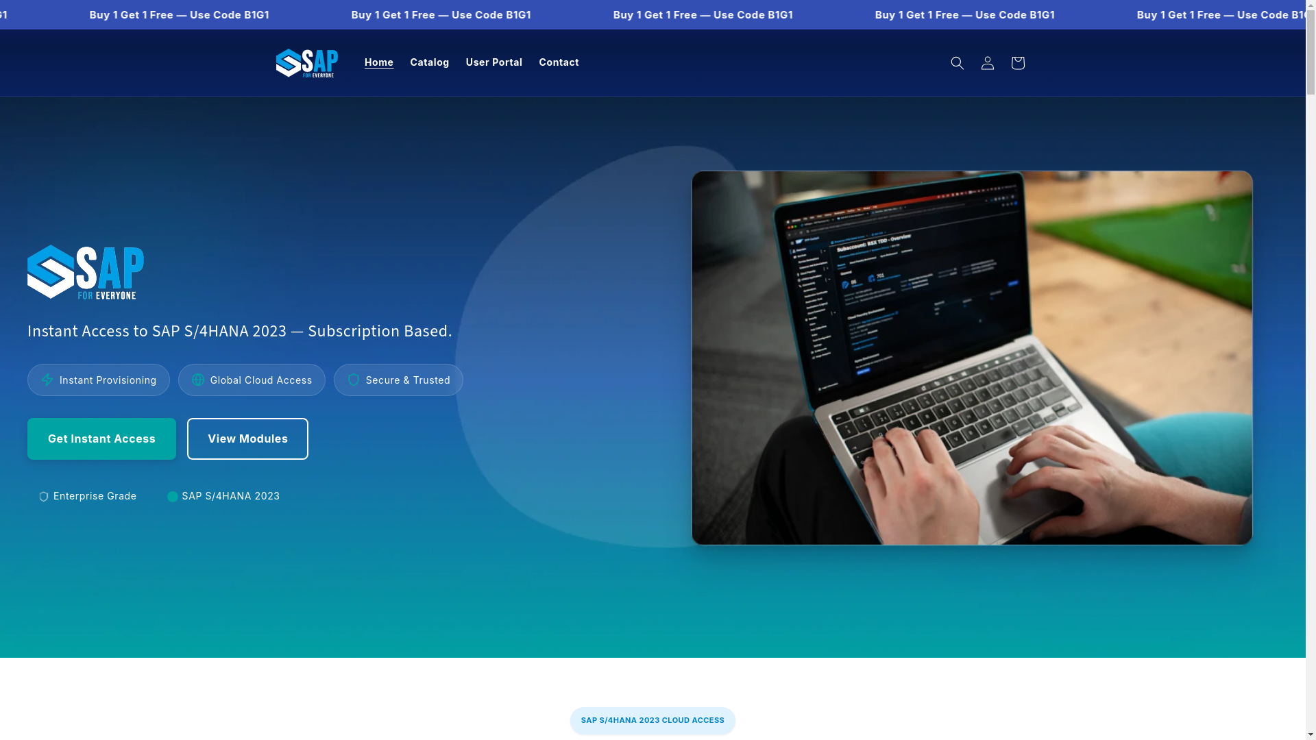 website screenshot of https://sapserveracess.com/