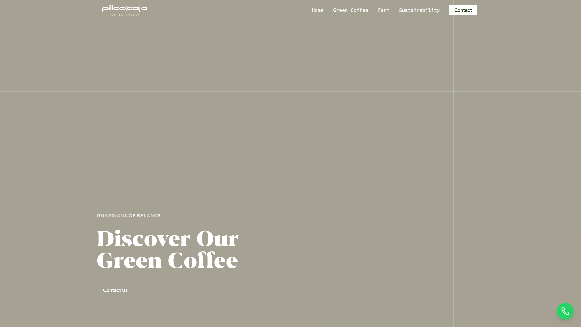 website screenshot of https://pillcocaja-1.pages.dev/