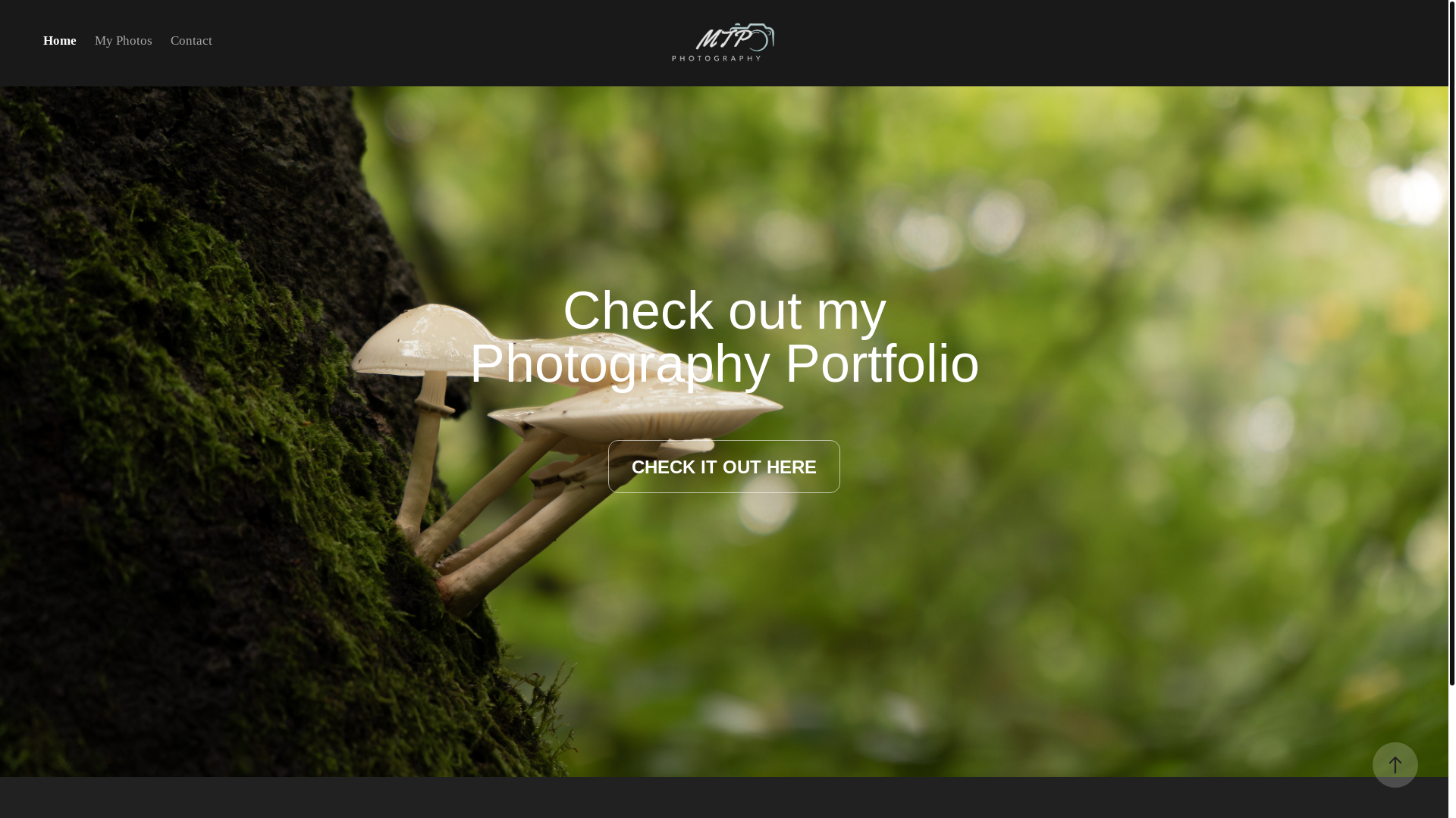 website screenshot of https://taminopfau.com/