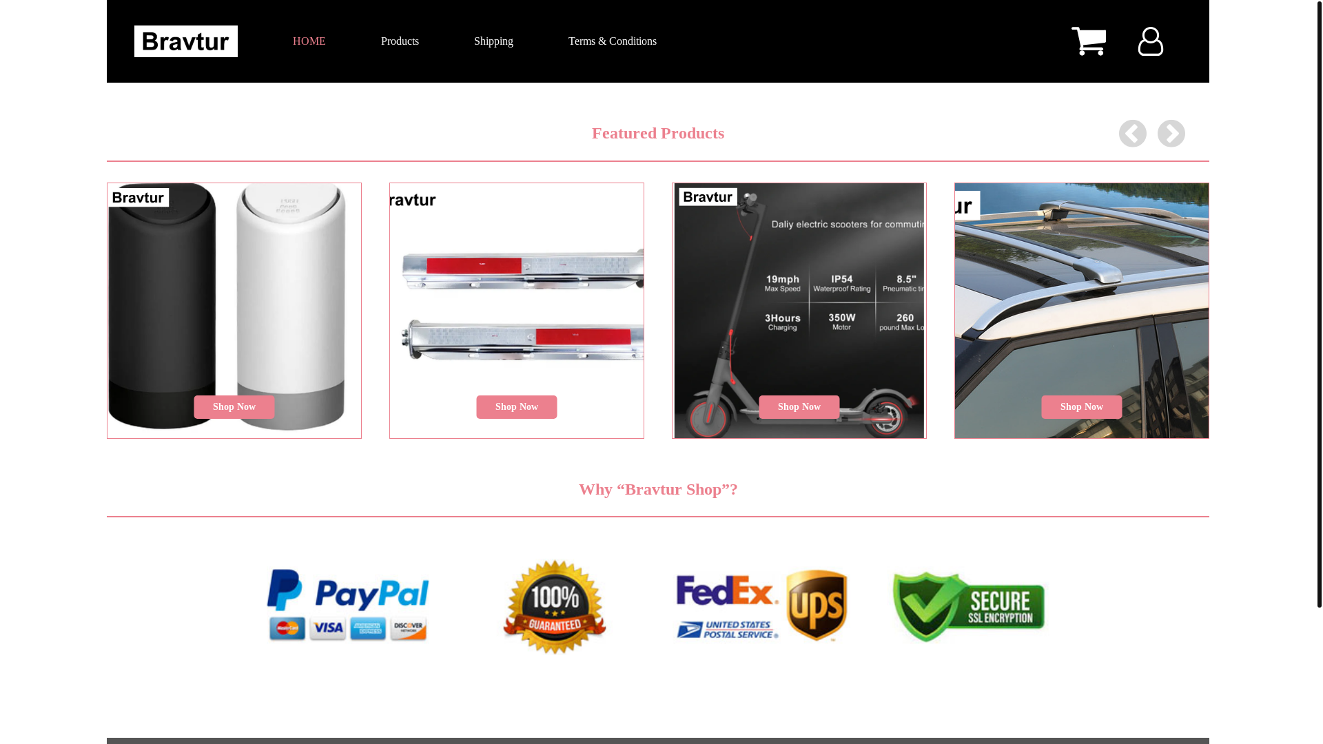 website screenshot of https://bravtur.xyz/