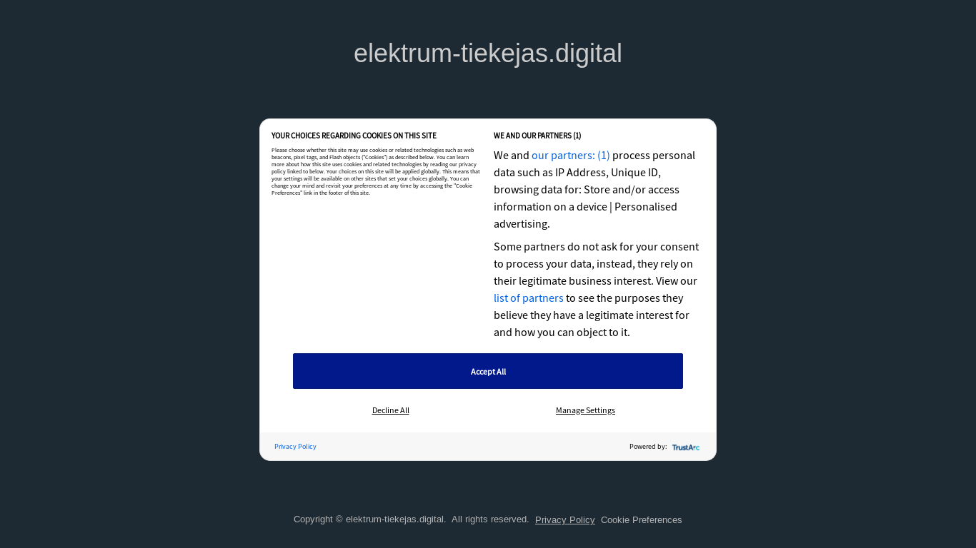 website screenshot of https://elektrum-tiekejas.digital/