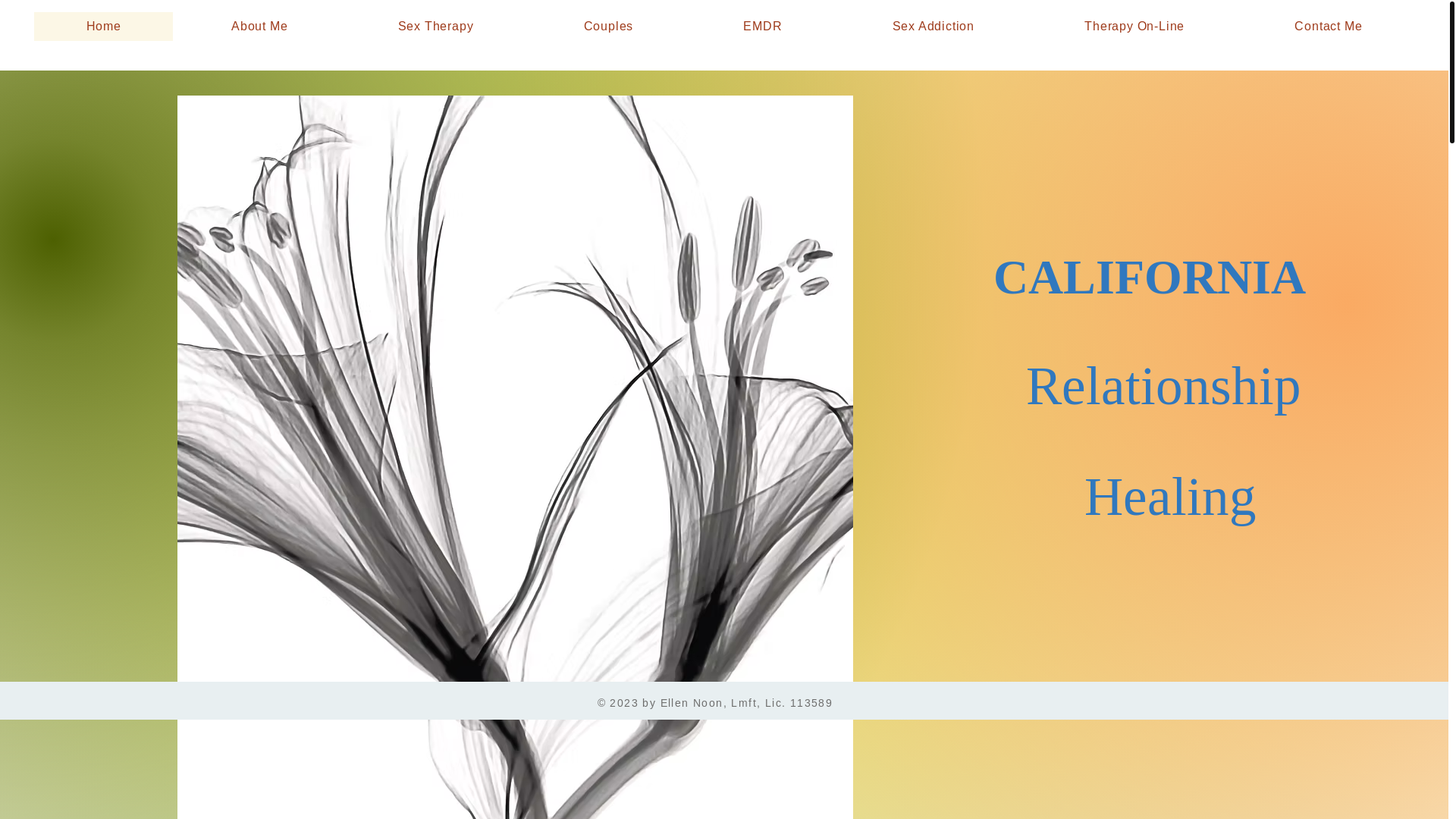 website screenshot of https://ellennoon.org/