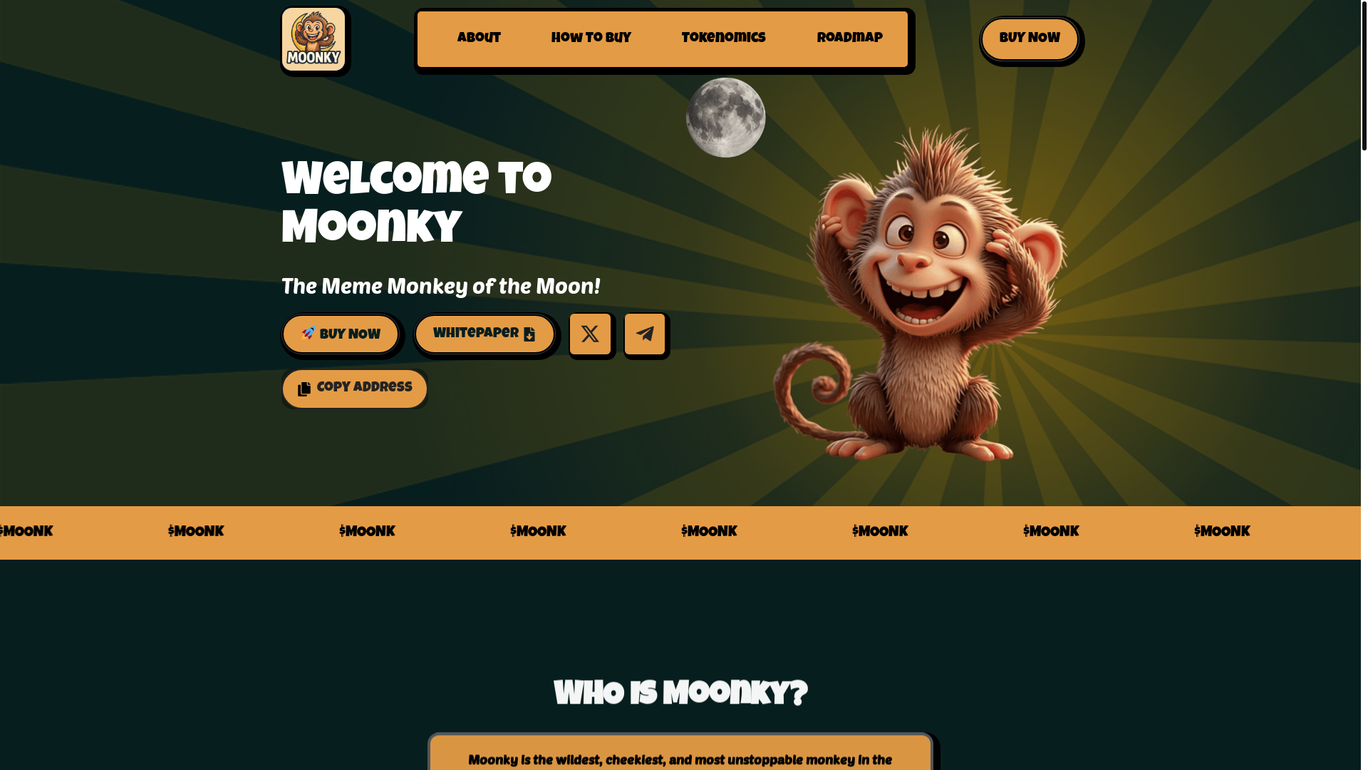 website screenshot of https://moonkyismoonk.com/