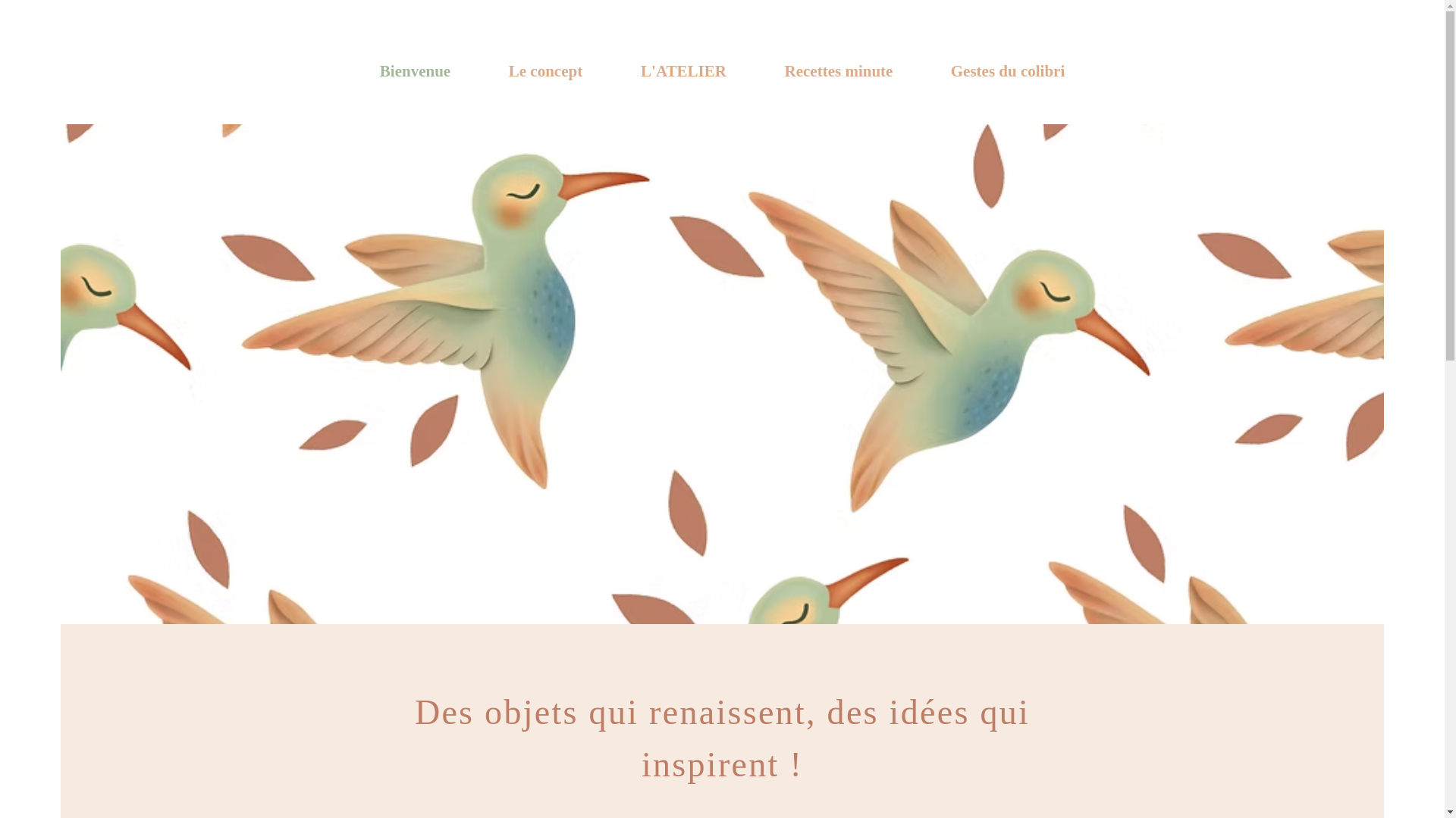 website screenshot of https://horizoncolibri.com/