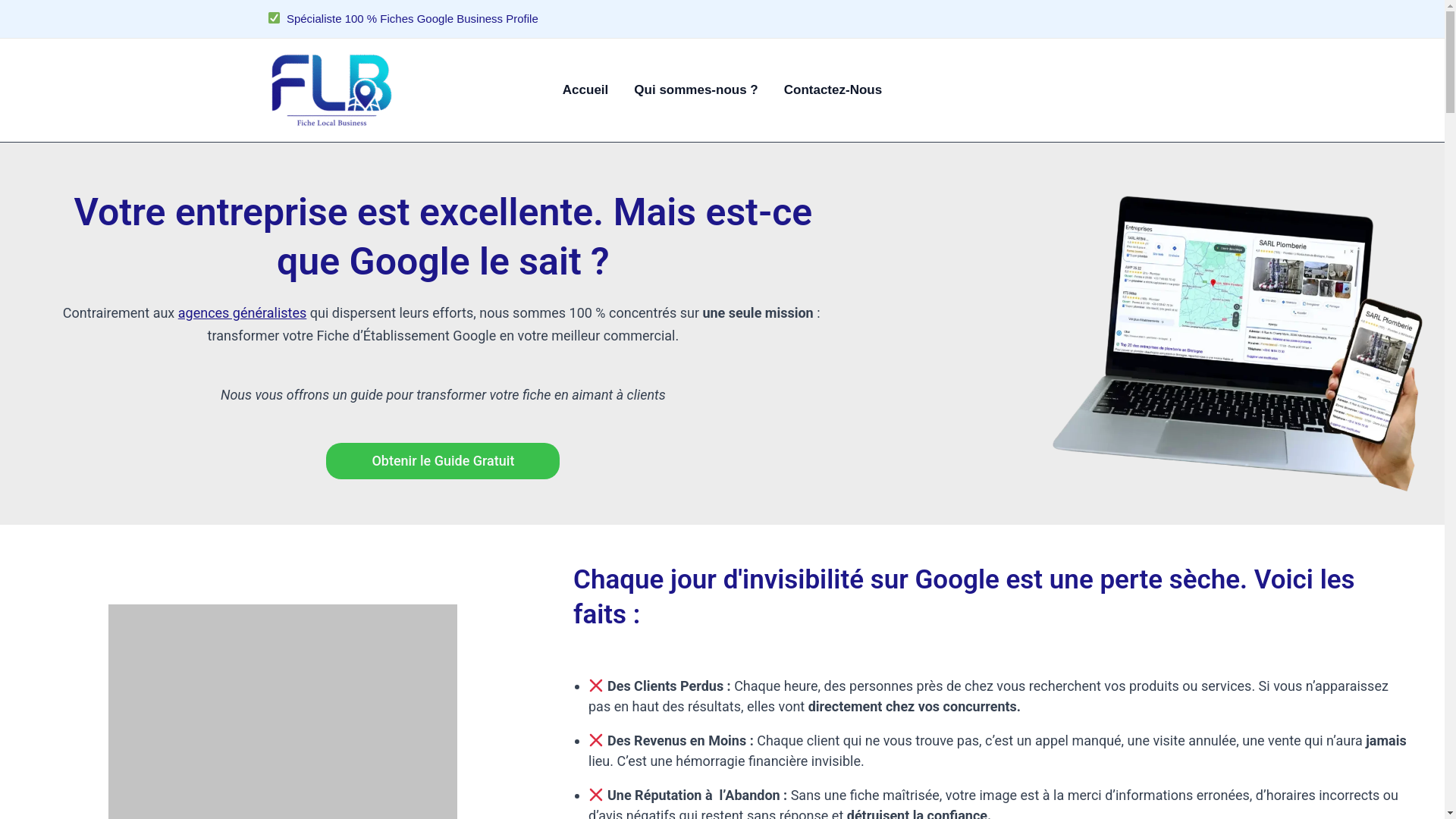 website screenshot of https://fichelocalbusiness.fr/