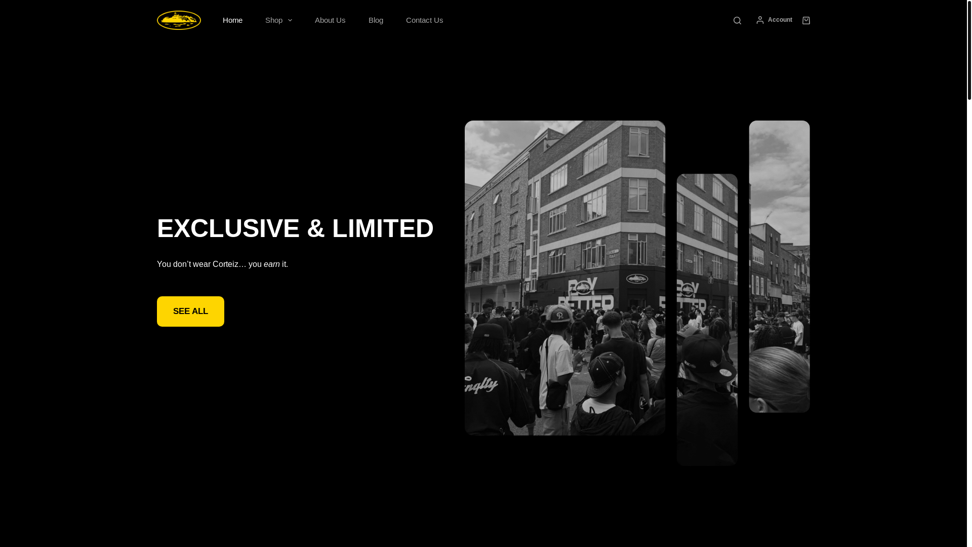 website screenshot of https://crtzdrip.shop/