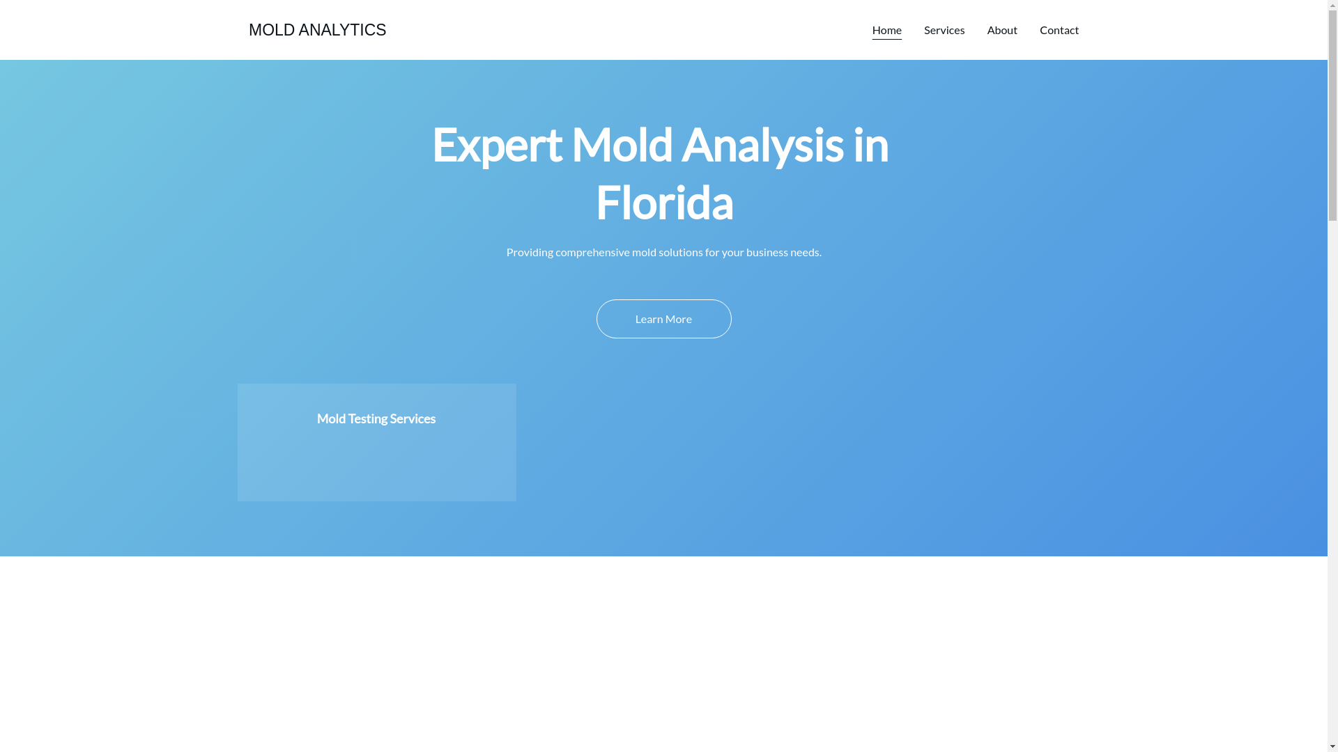 website screenshot of https://moldanalytics.shop/