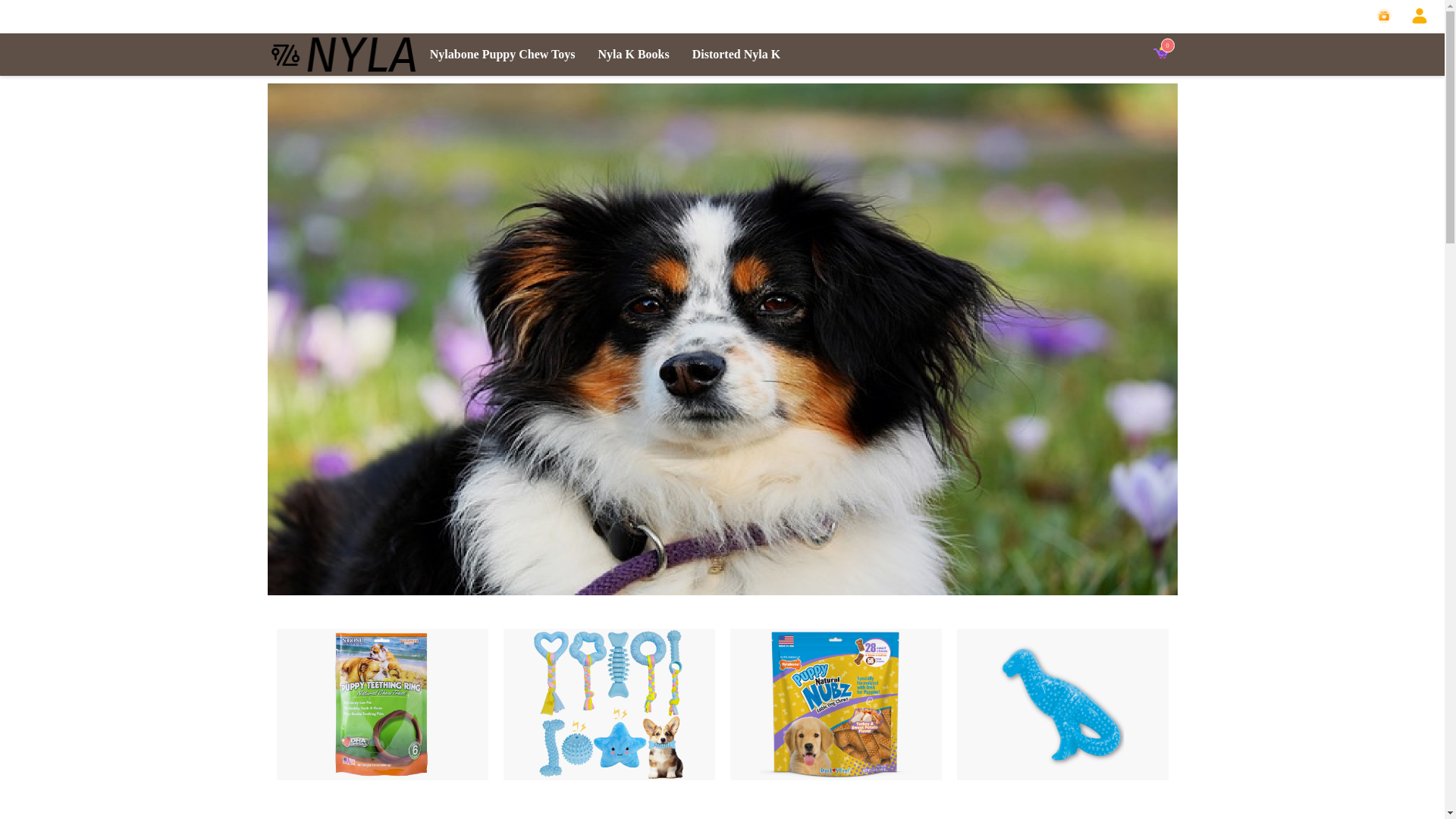 website screenshot of https://nylasale.shop/
