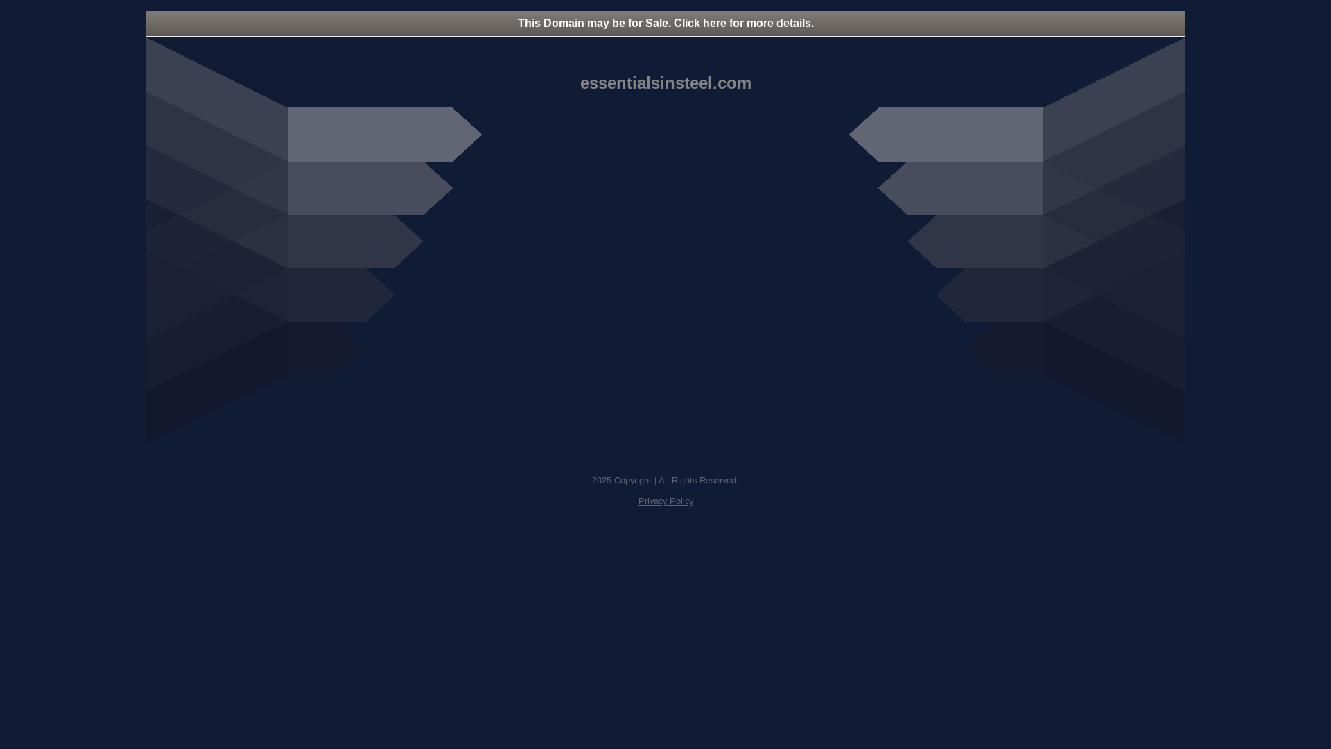 website screenshot of https://essentialsinsteel.com/